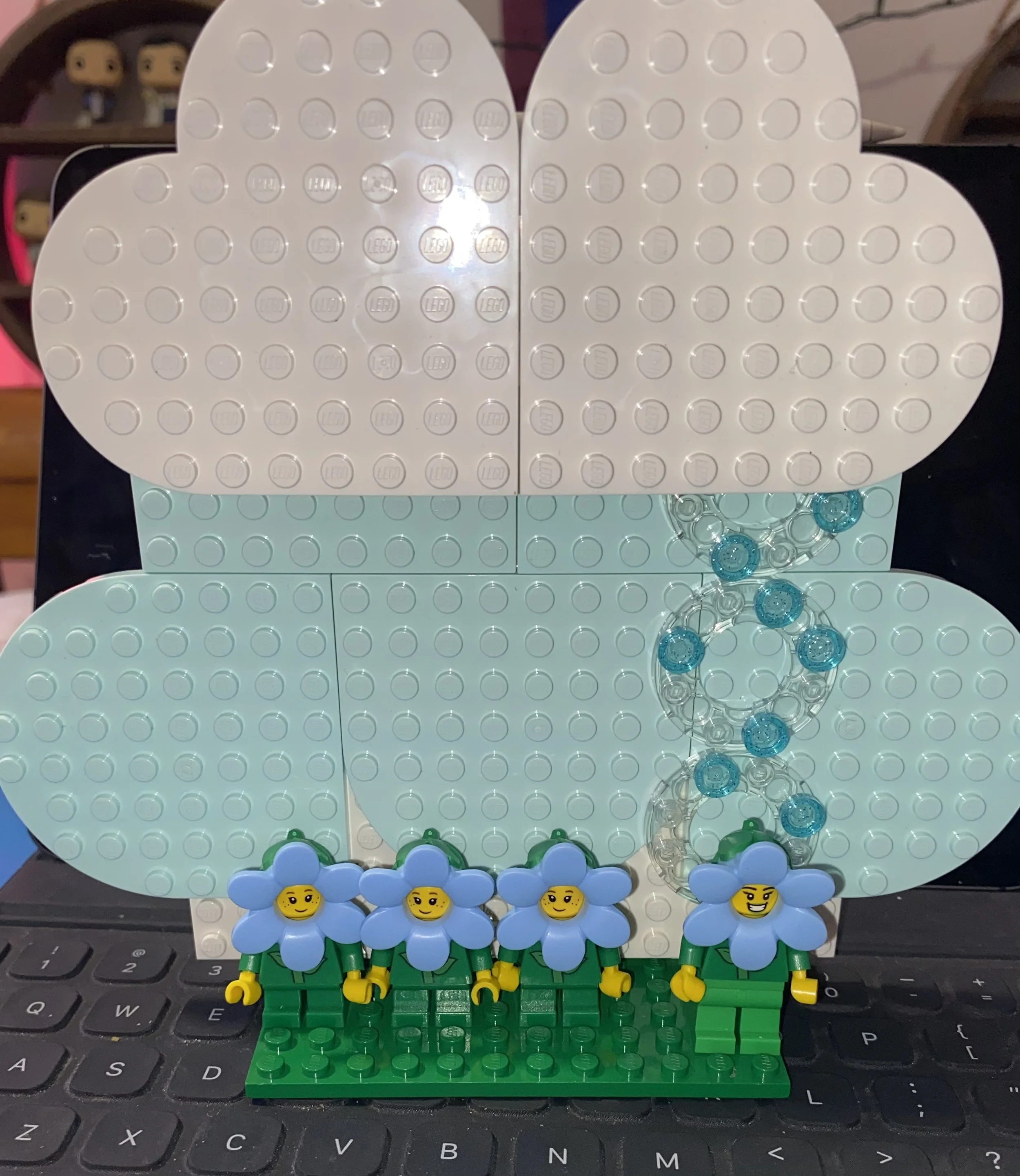   The very first image of my garden. The concept was to make the flowers grow.  