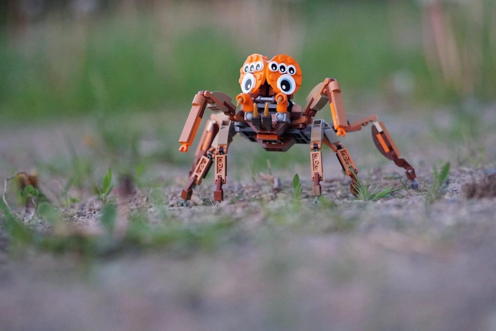    ‘Creepy Spider’   by Keith Rowe. Our first contest winner(Budget Build Challenge)  