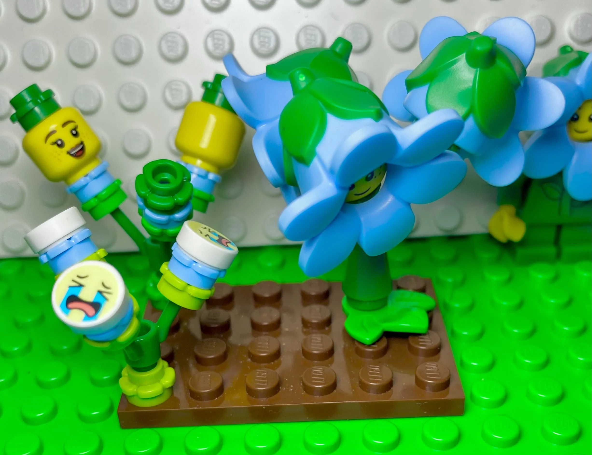   The early concept of evolutions in March 2021  