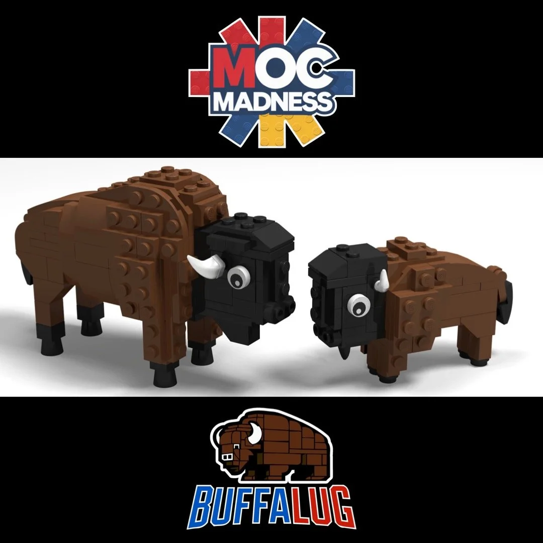 Ryan%27s+Buffalo%27s.001