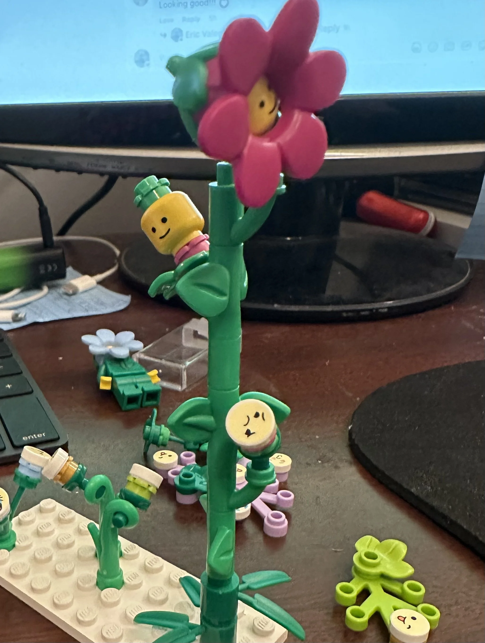   Early concept for stalk evolution  