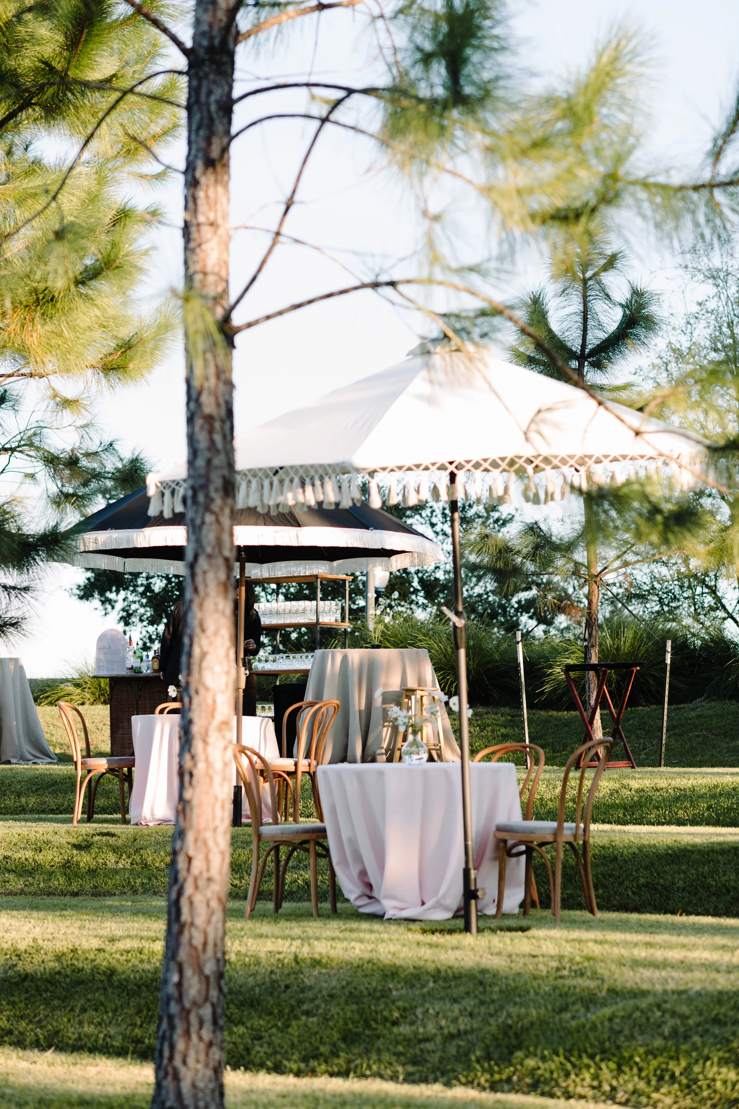 Outdoor setup with tables and chairs under large umbrellas on a grassy area, surrounded by trees, in a sunny environment, possibly for a celebration or event.