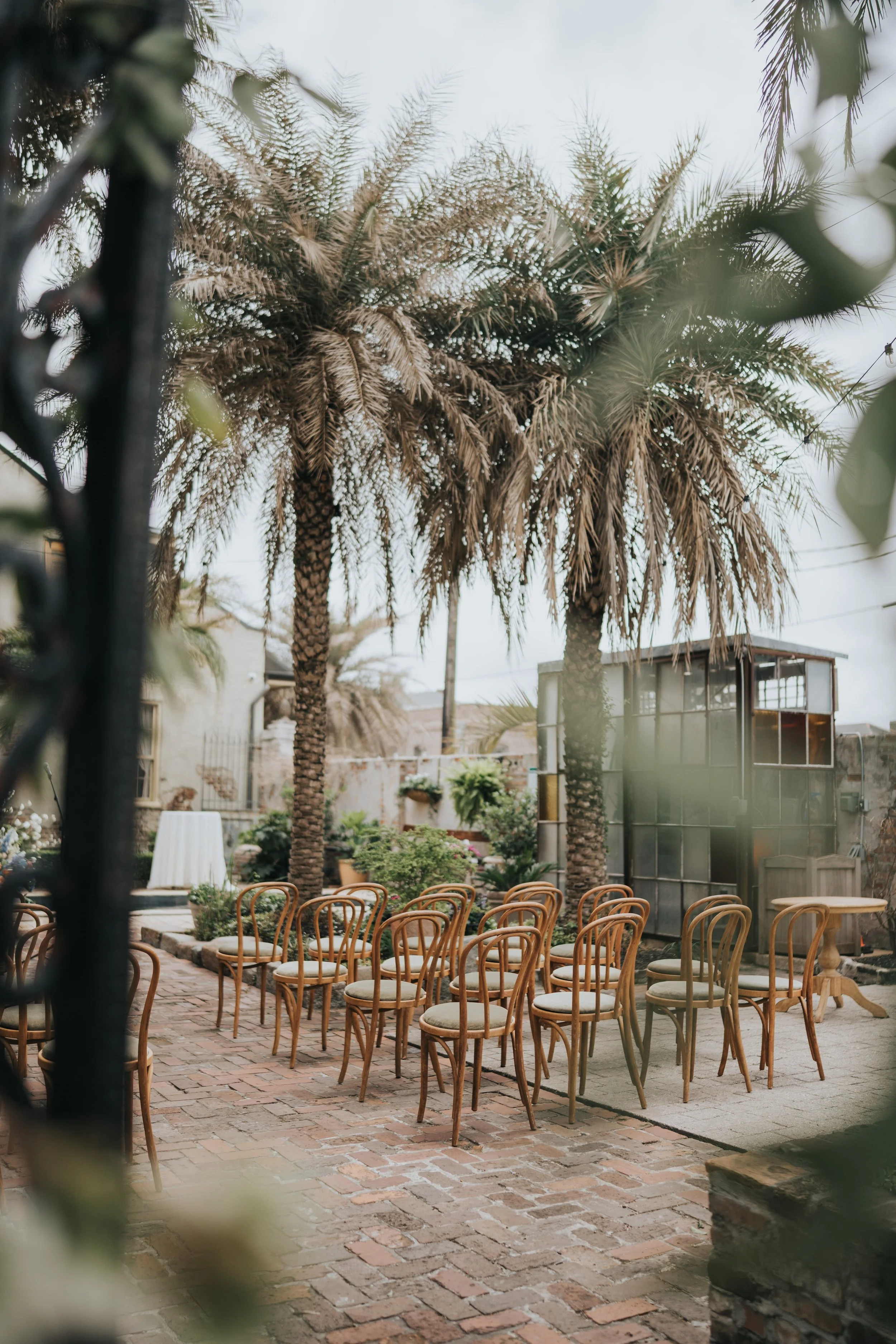 Empty outdoor courtyard with brick flooring, wooden chairs arranged in a circle, surrounded by palm trees and lush plants, with a modern building in the background.