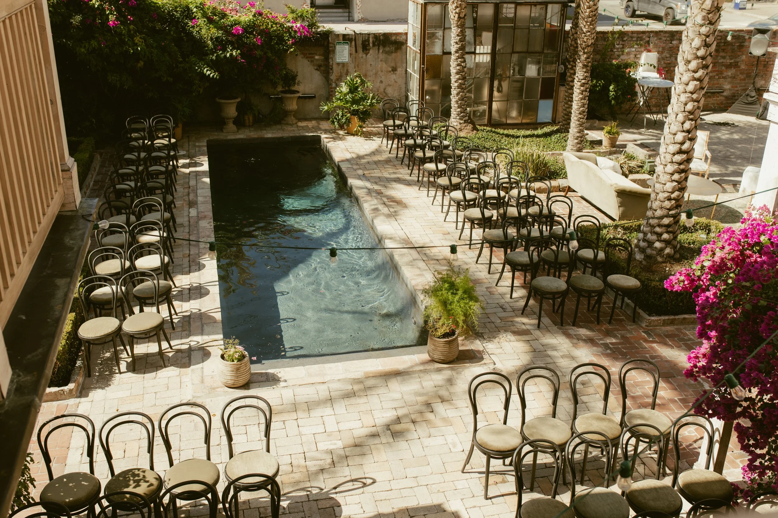 An outdoor courtyard with a rectangular pool at the center, surrounded by black chairs with white cushions. There are pink flowering bushes on the edges and tall palm trees around the space. A brick wall and a greenhouse structure are visible in the 
