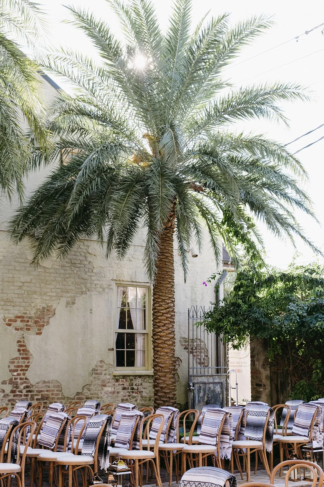 An outdoor patio setting with multiple wooden chairs covered with striped fabric, situated in front of a tall palm tree and a weathered brick wall with a window and a gate.