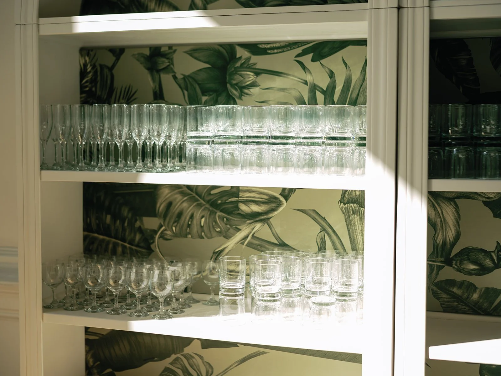 Glassware, including champagne flutes, highball glasses, and shot glasses, arranged on white shelves with a botanical leaf-patterned wallpaper background.