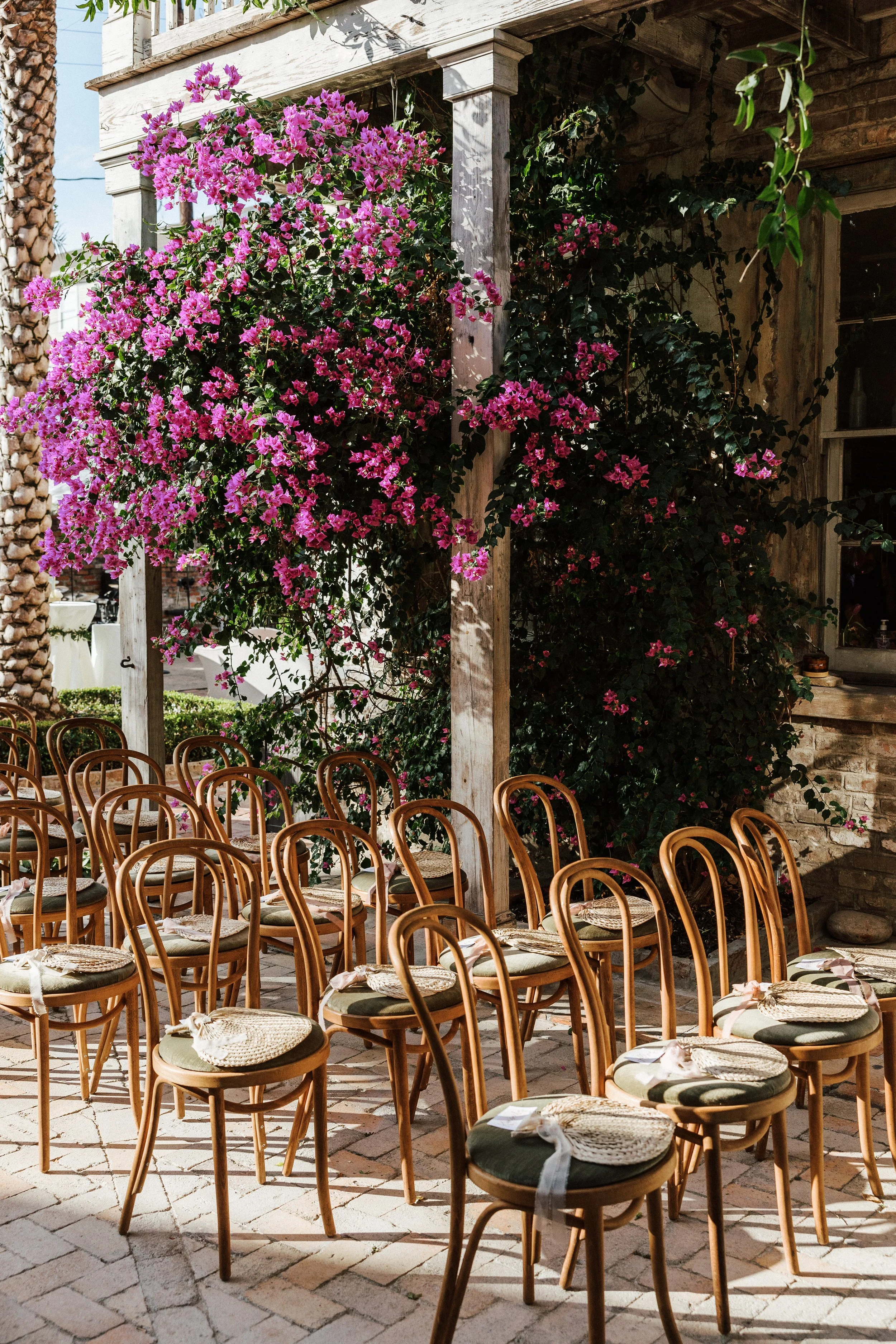 Empty outdoor restaurant seating with rows of wooden chairs with woven seats, set up for a meal. In the background, there is a wooden structure with climbing pink flowers and green foliage, and a brick wall and a window are partially visible.