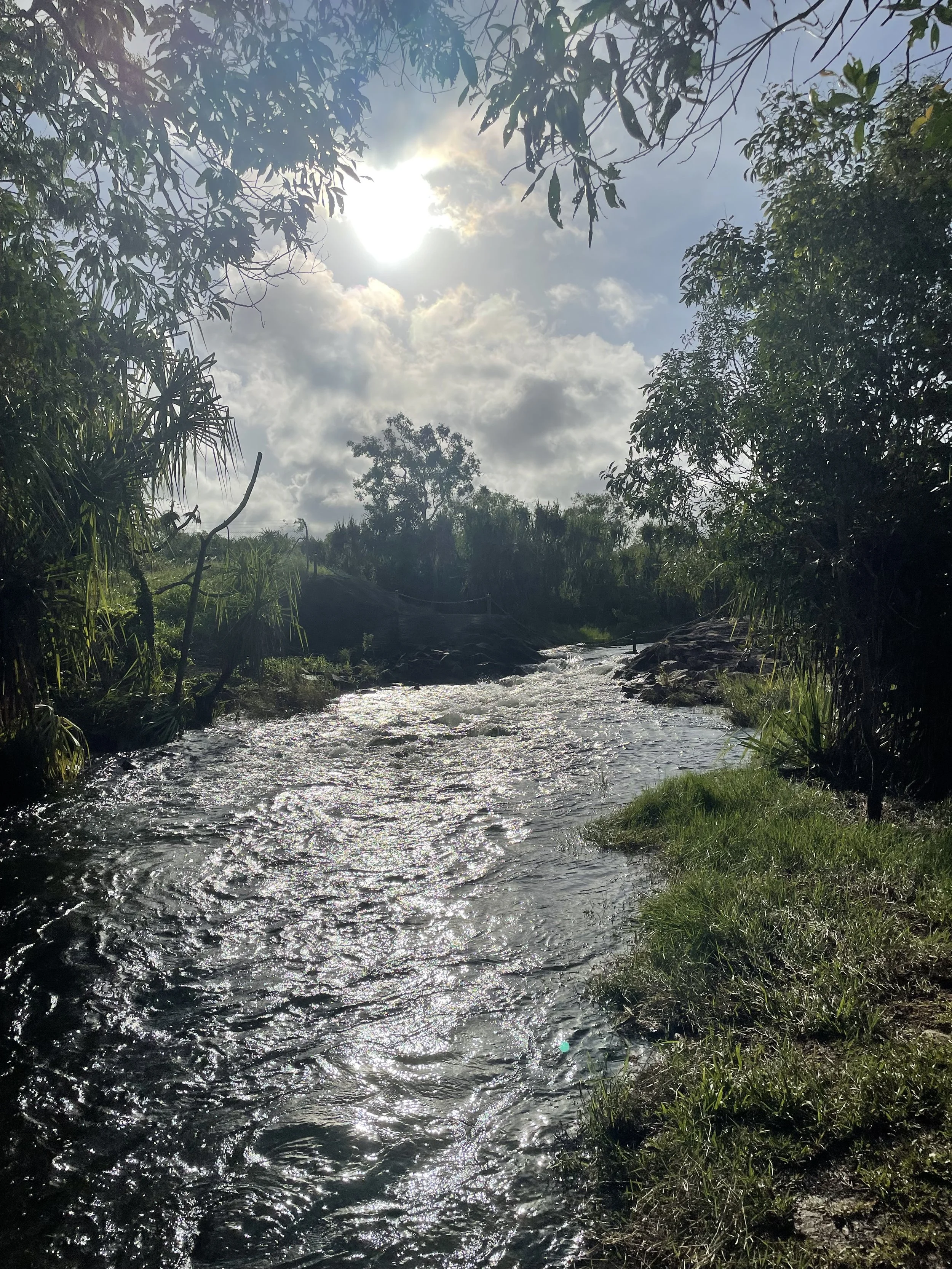 IMG_2913.jpeg