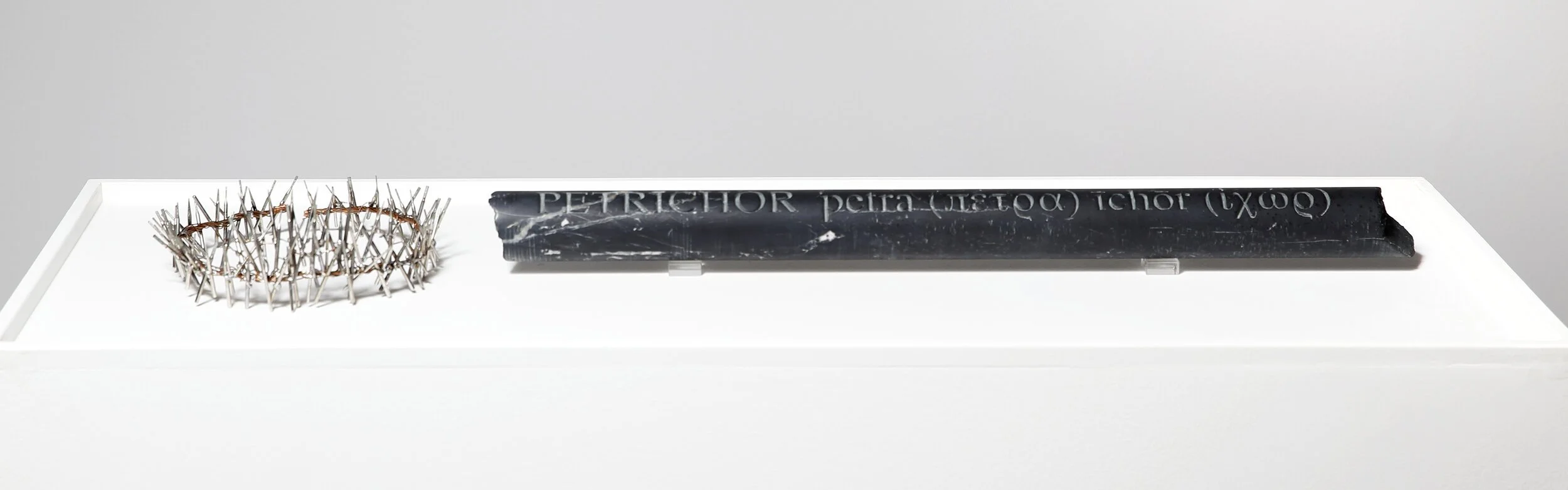 Petri-Chor-4846+(1).jpg