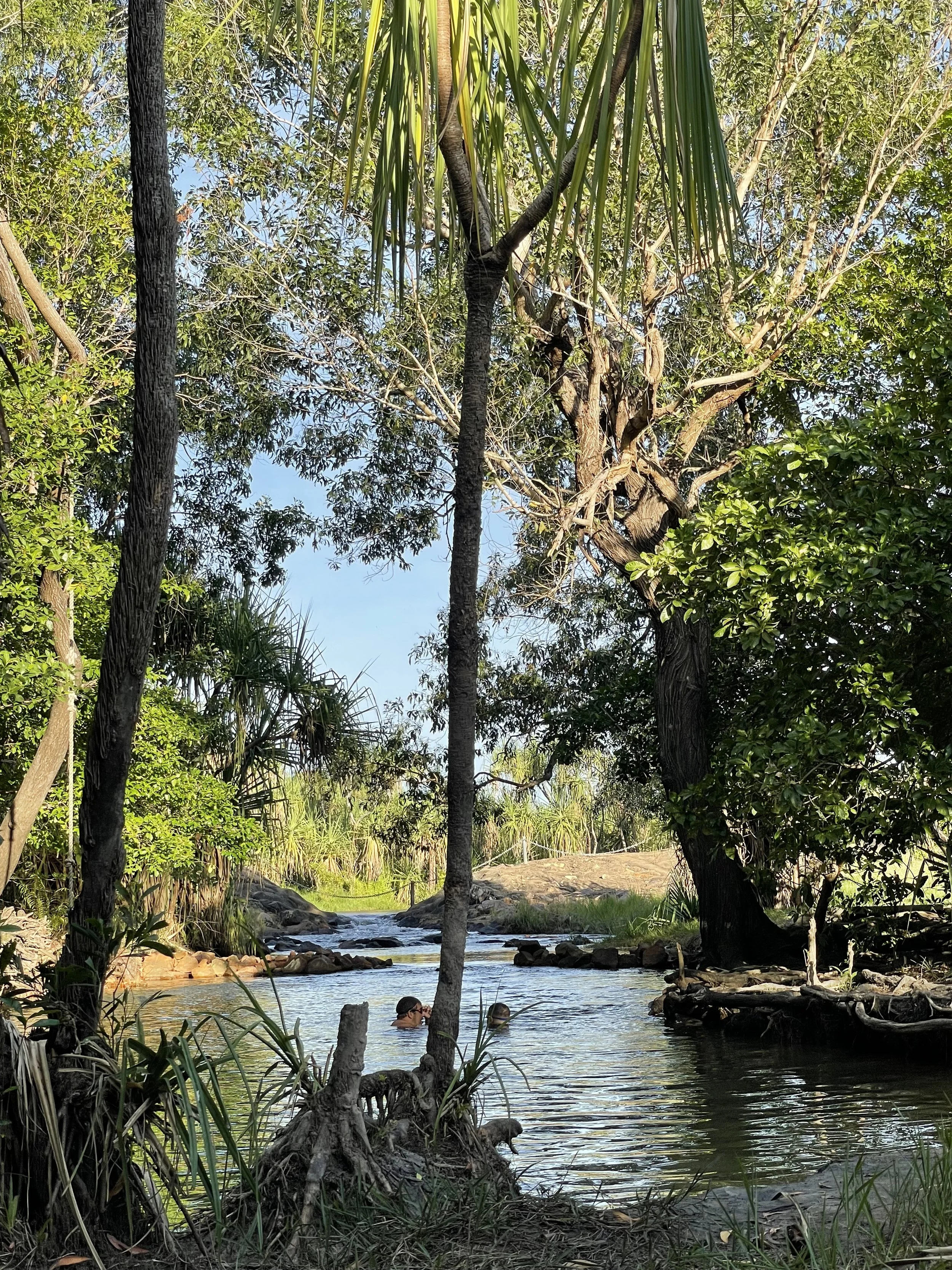 IMG_3478.jpeg