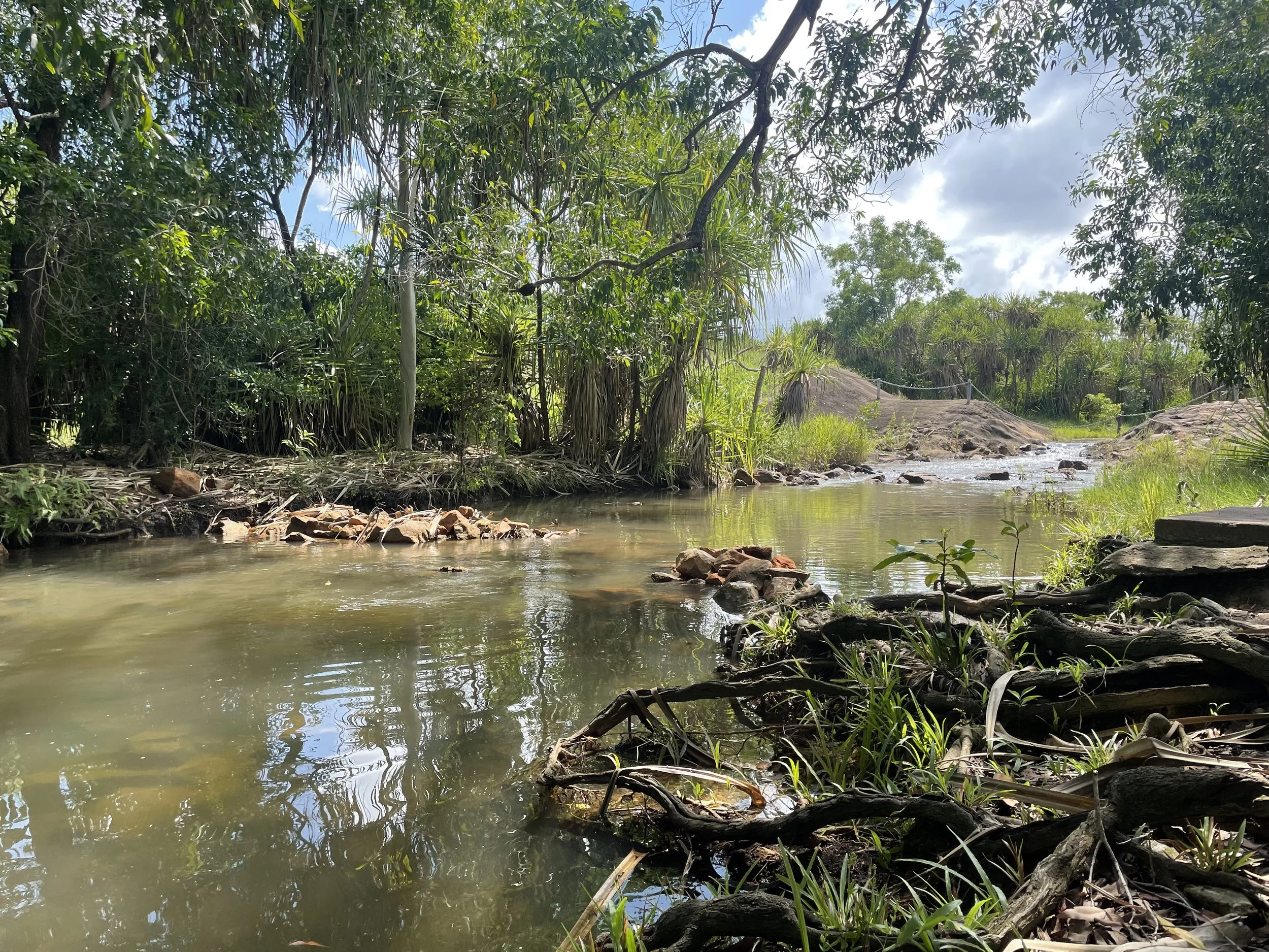 Images of White Rock swimming hole at Rapid Creek