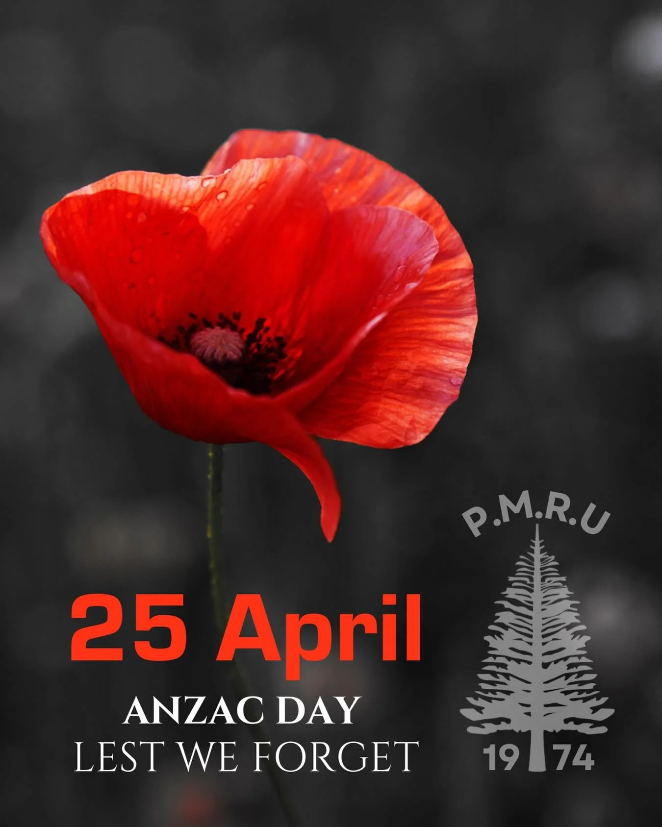 At the going down of the sun, and in the morning, we will remember them. Lest we forget. 🇦🇺🇳🇿