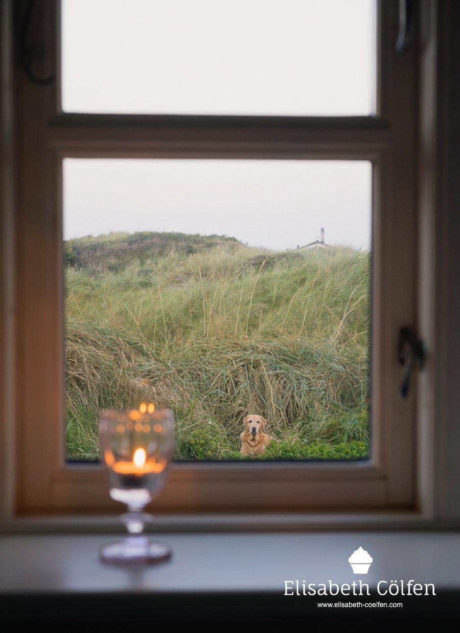 Candle in the evening in a window with a view of the dunes in Denmark and a Labrador Retriever