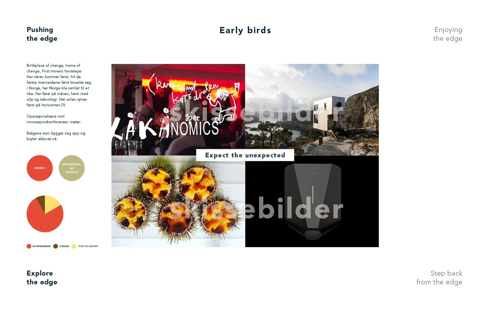 Riss_The edge of norway V25–vannmerke CASEindd2.jpg