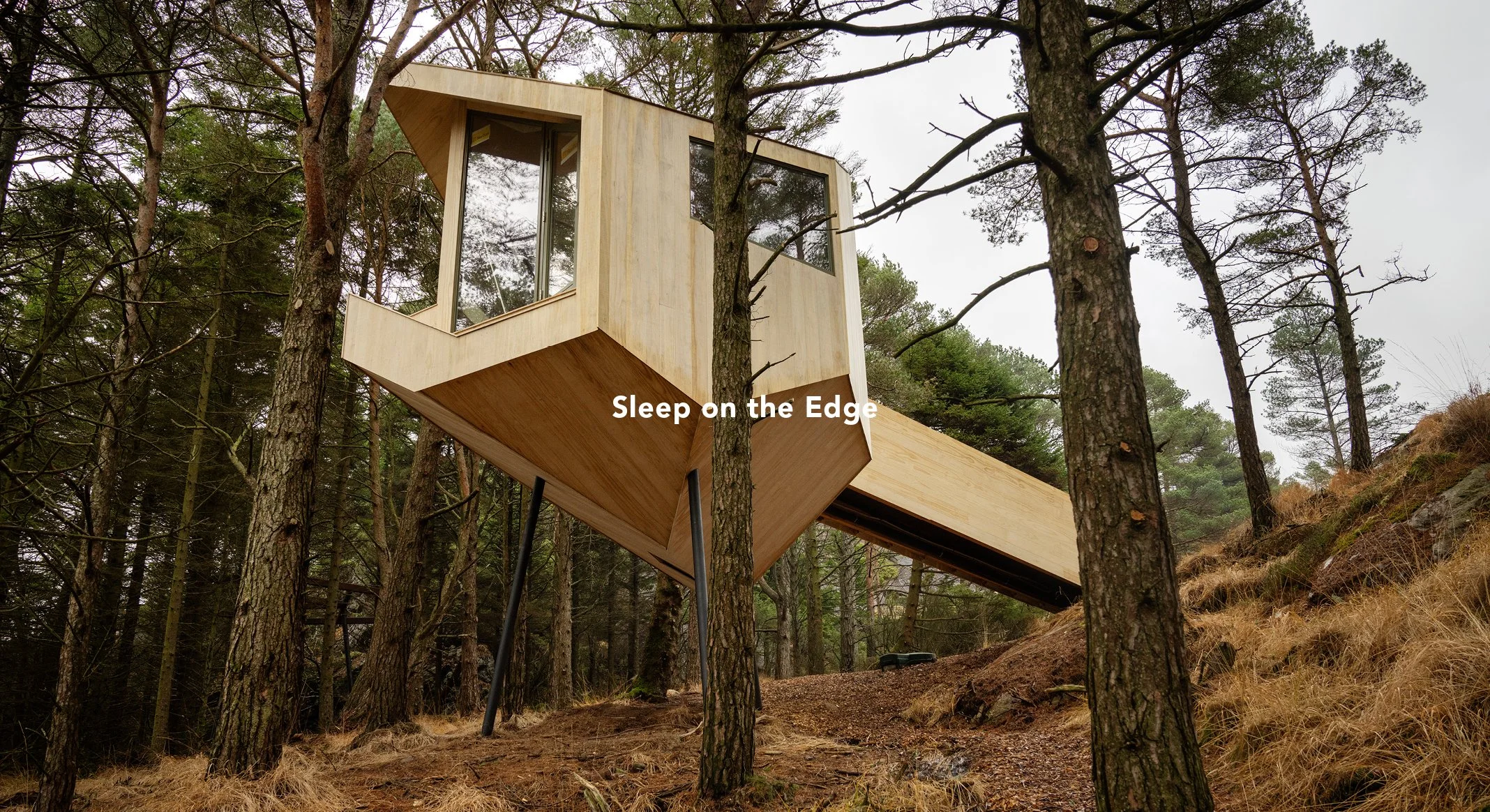 Trekronå. Foto: Marie von Krogh