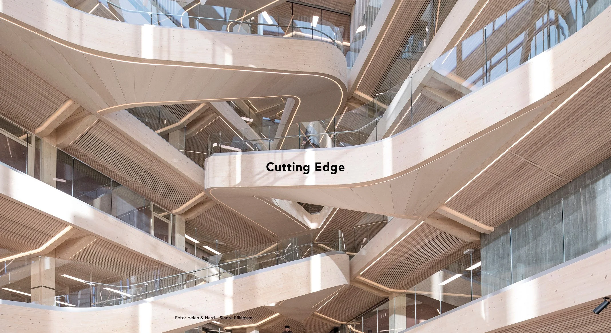 Riss_loop forside 412.jpg