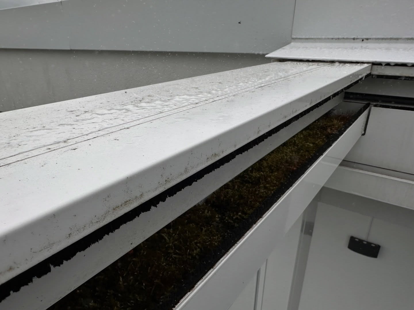 Ser du noe feil med dette bilde?👀

Selv integrerte takrenner trenger vedlikehold.
Mose kan blokkere vannveien og redusere levetiden p&aring; konstruksjonen👀 Ta kontakt med Seethru.as asap😄

#pergola #utemilj&oslash; #vedlikehold #takrenne terrasse