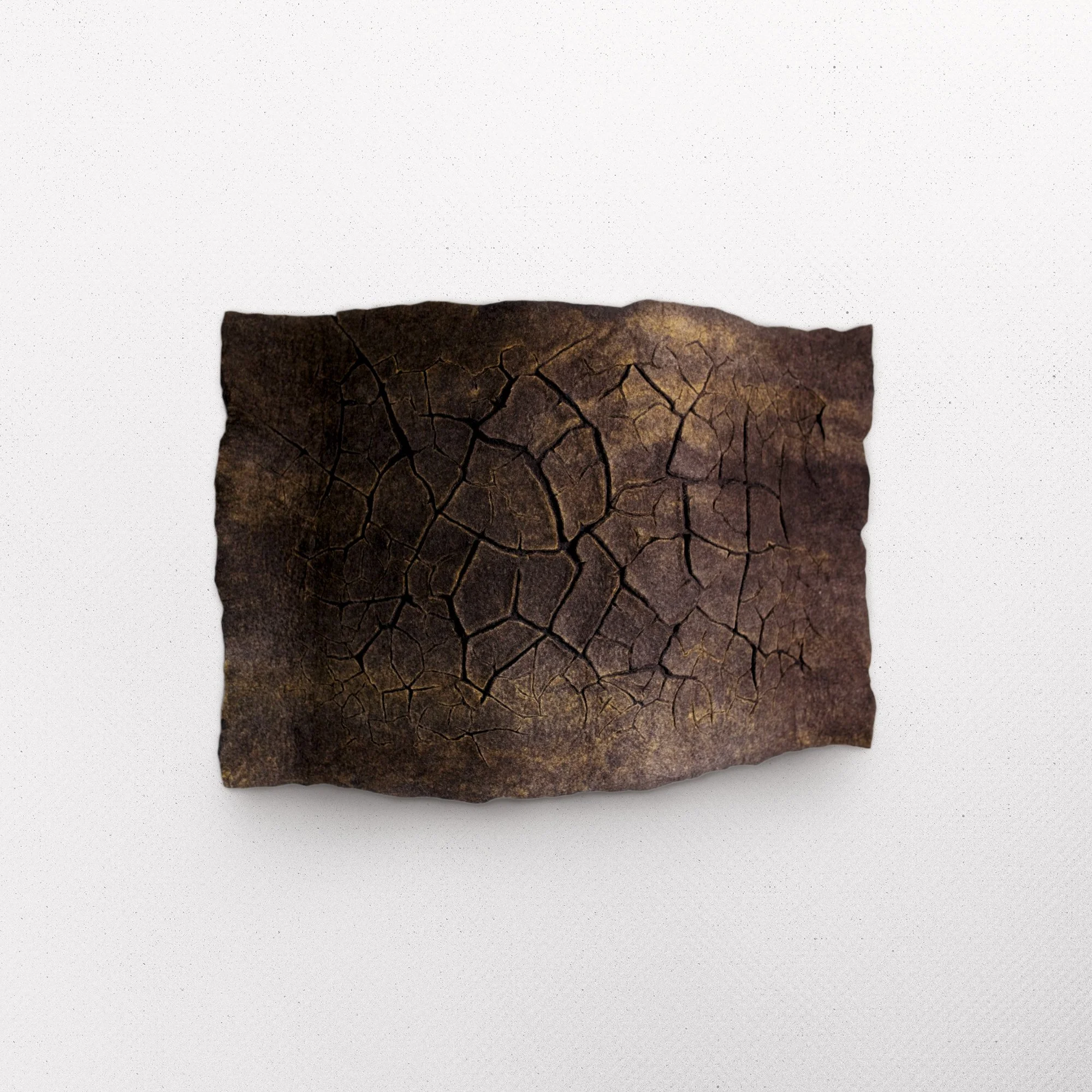 TERRE-for-SQUARE-FNL-fnl.jpg