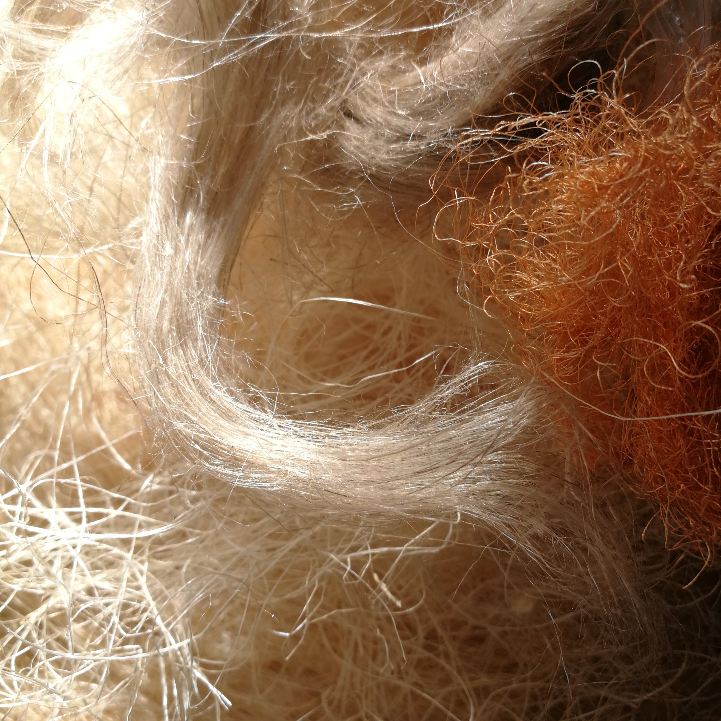 Atelier_Feutrage_1.jpg