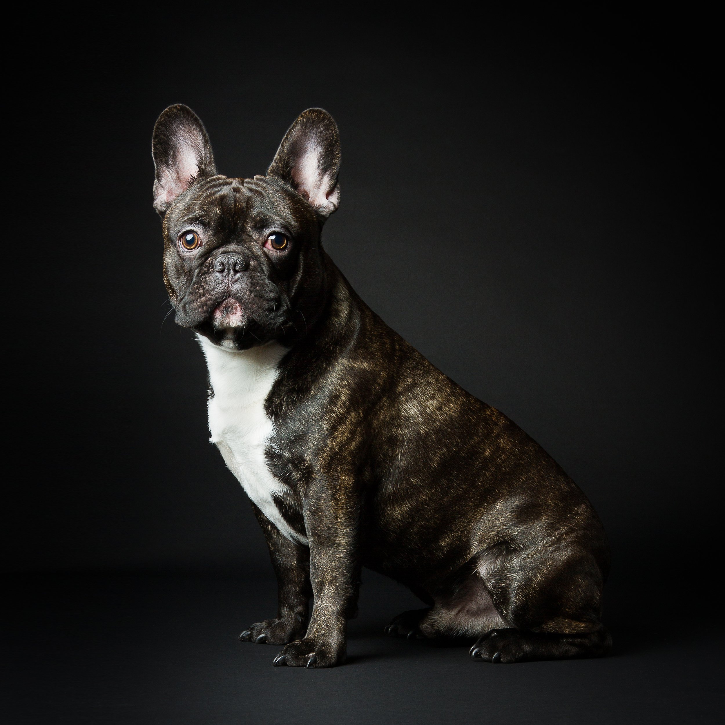 salonprint jpeg 2500 px.jpg