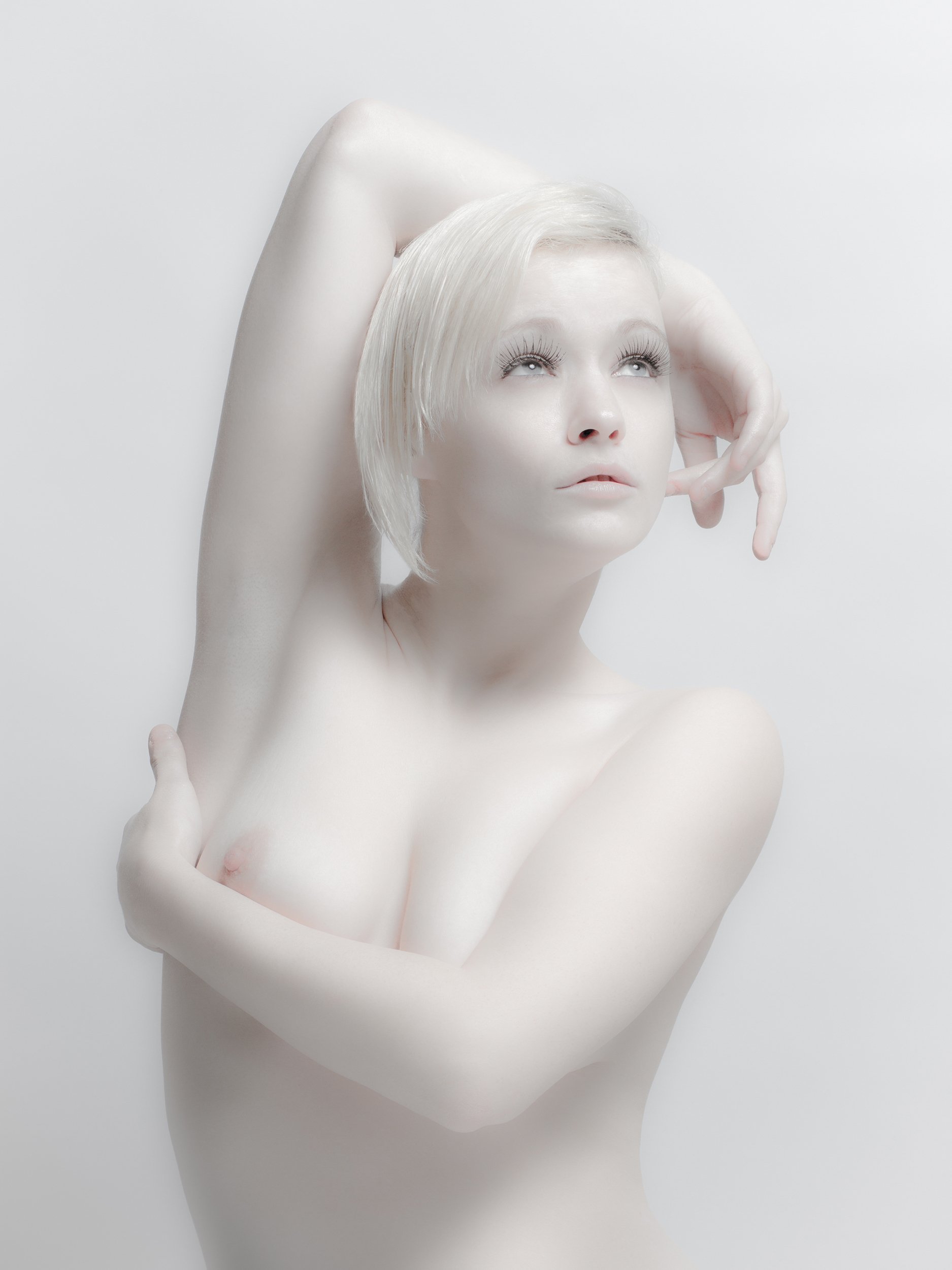 Fancyface 2500 px.jpg