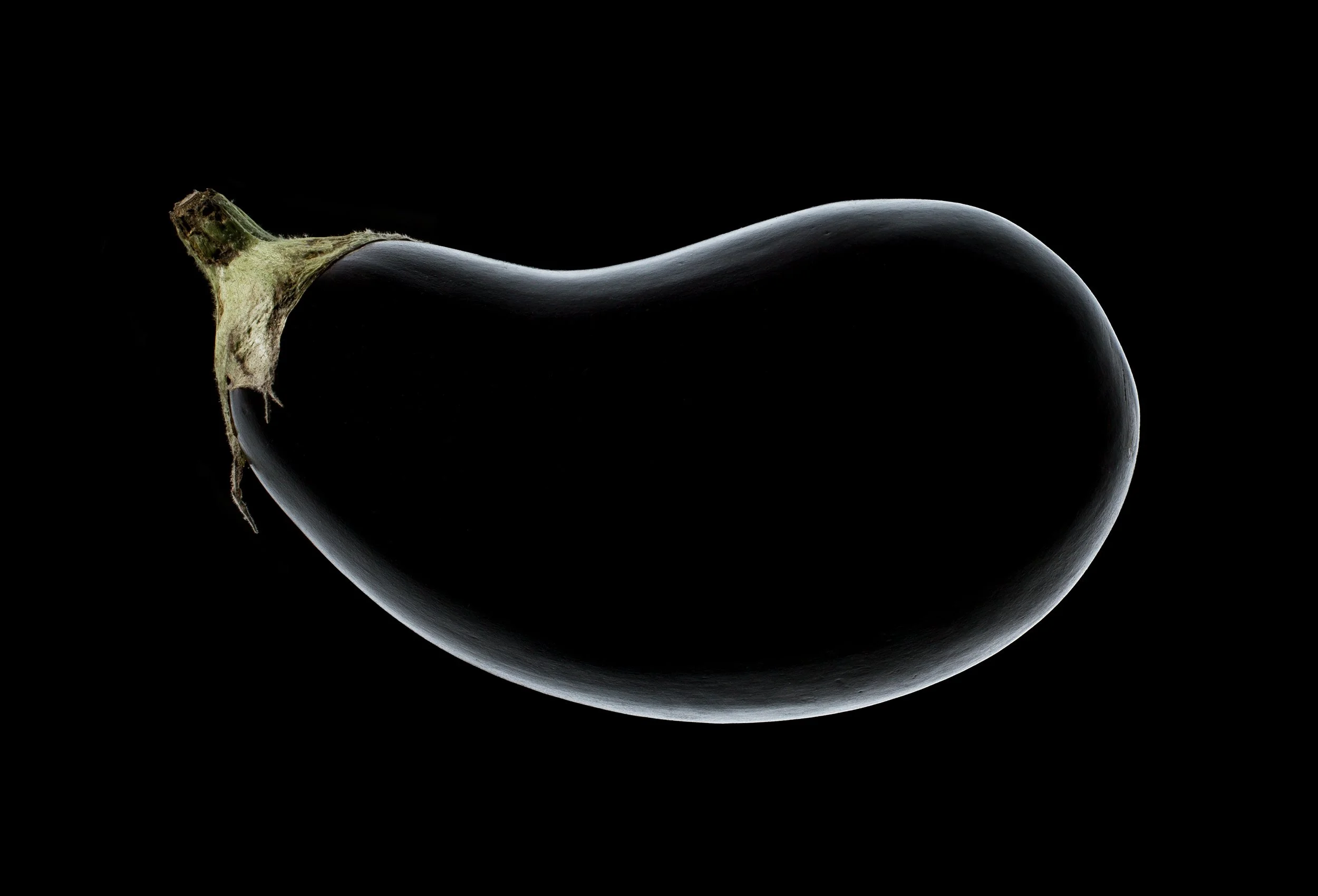 AUBERGINE SALON 2500 px.jpg