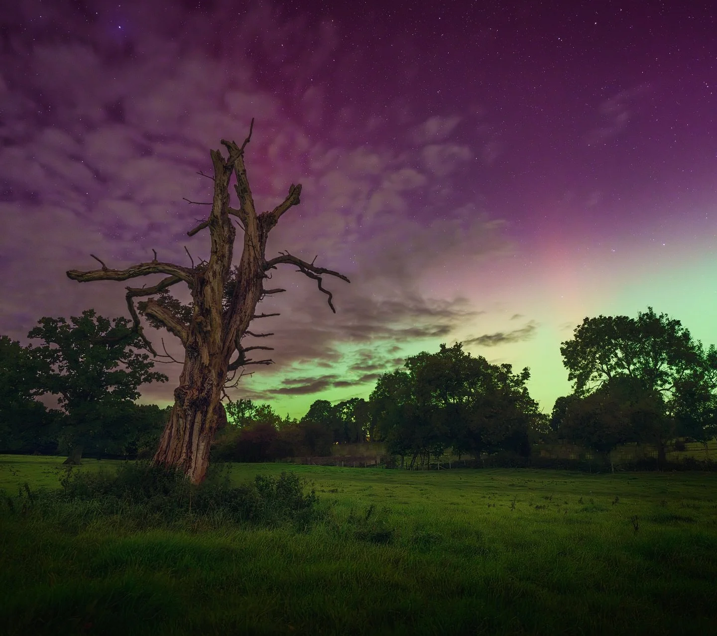 Finished work for the week so now it’s time to get on the Aurora posting train…. It’s pretty busy!! CHOO CHOO ð
.
#aurora #astrophotography #landscapephotography #rurallife