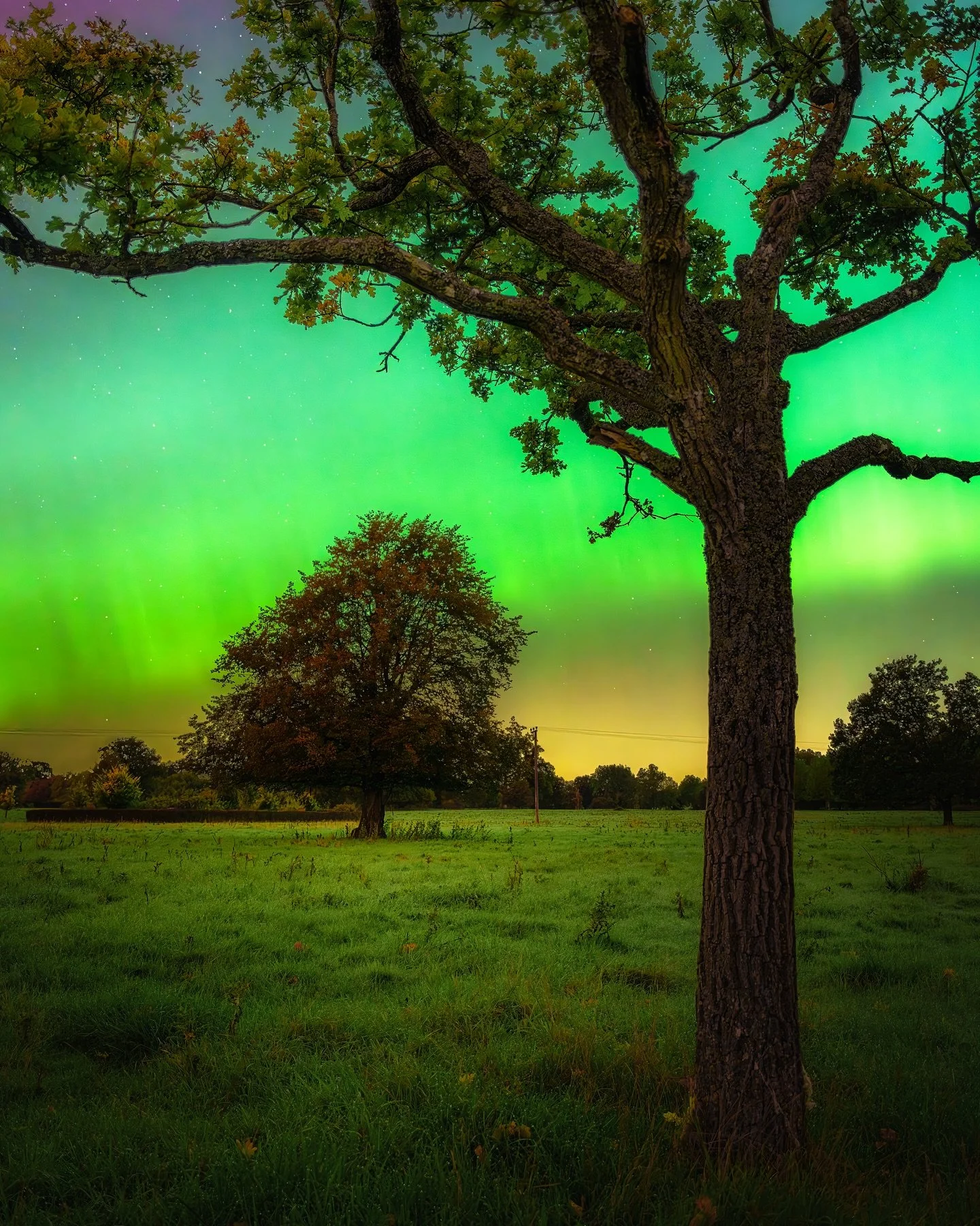 Autumnal Aurora! Oh you haven’t seen enough aurora photos, I got you ðĪŠ!!
Oxfordshire may be a bit flat and mostly agricultural land, but there are some spots with nice trees! Hard finding the perfect composition in the dark, but I’ve don