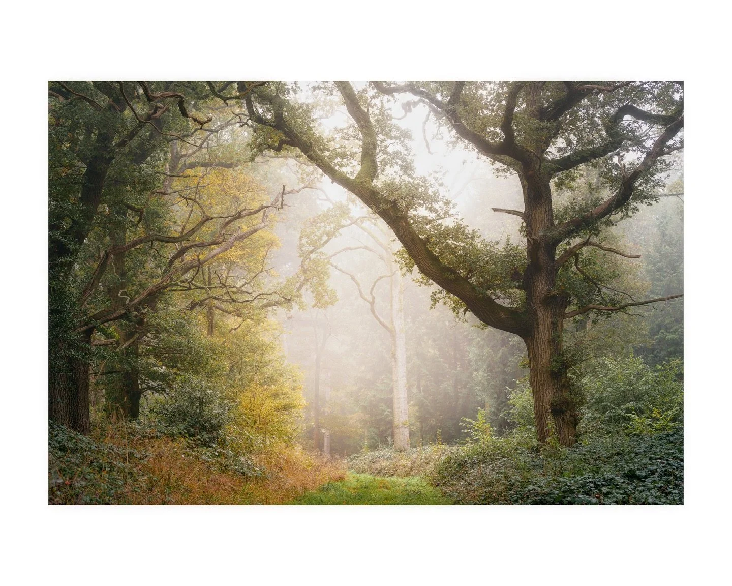 Going through the my photos from my little adventure before work yesterday, and I am LOVING them!! Sorry not sorry as I may be posting a few of these today ð think I’ll have to send a couple to the printer too… check my story to see if