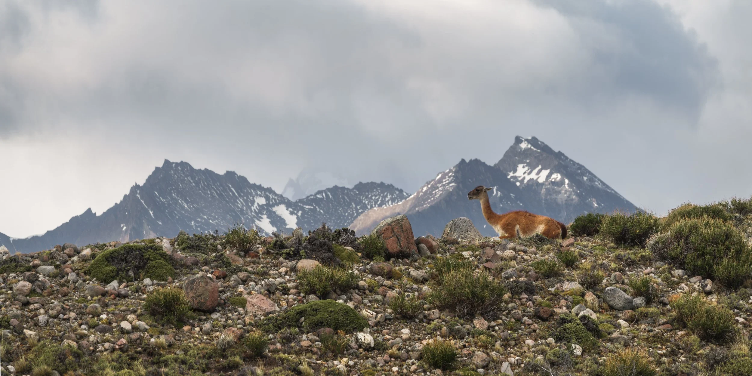 PATAGONIA-ElChalten-Gallery2-20260214-_DSC0052.jpg