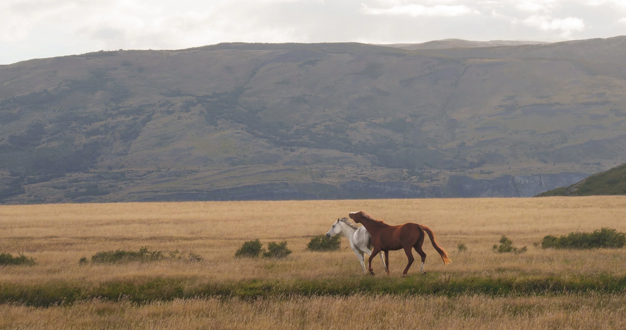 PATAGONIA-TorresDelPaine-Sunrise2-_DSC1350_result.jpg