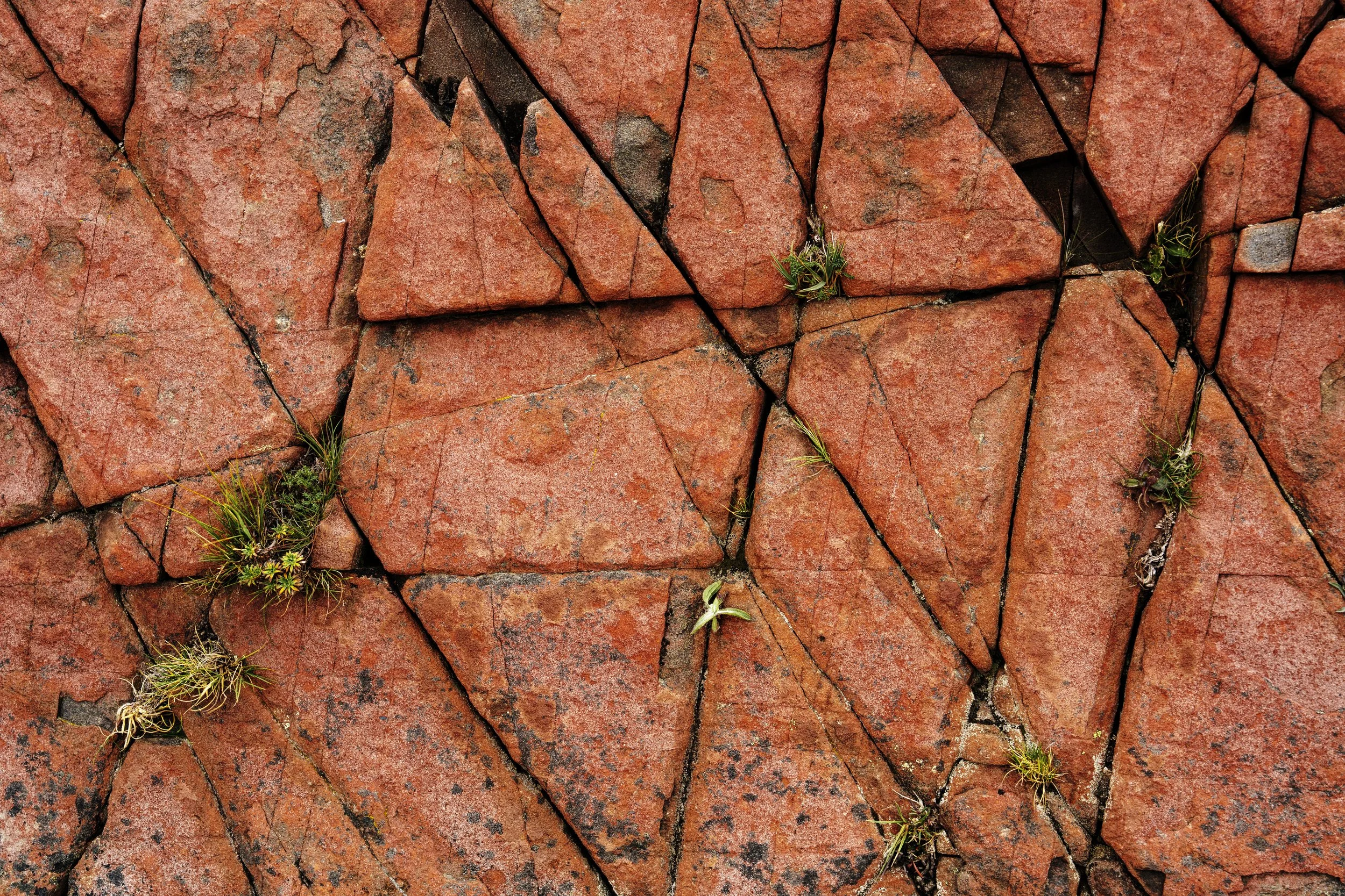 Cracks in the red rocks, making a triangular pattern with tufts of grass growing from the cracks