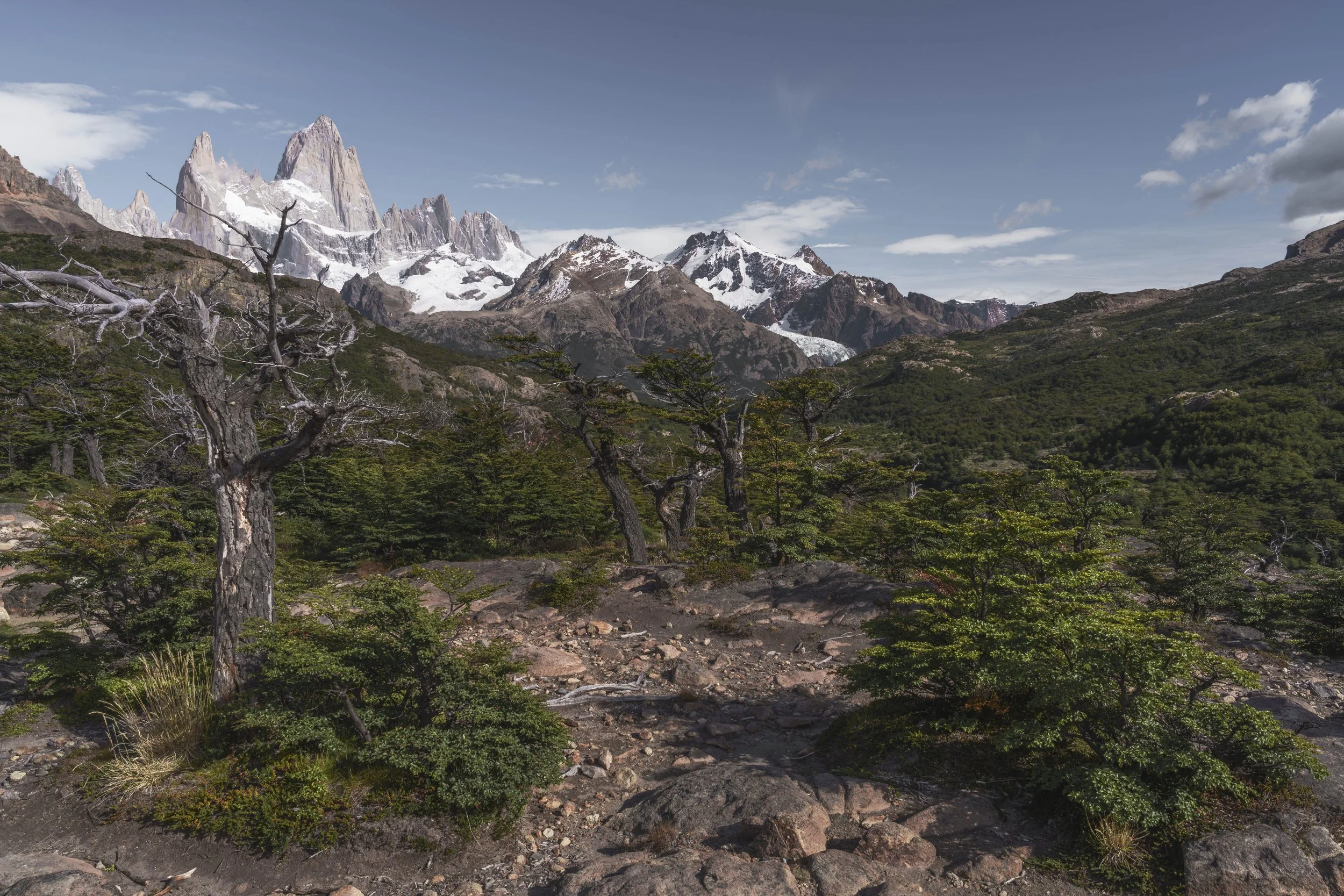 PATAGONIA-ElChalten-HIKE-Gallery-20260215-_DSC0477.jpg