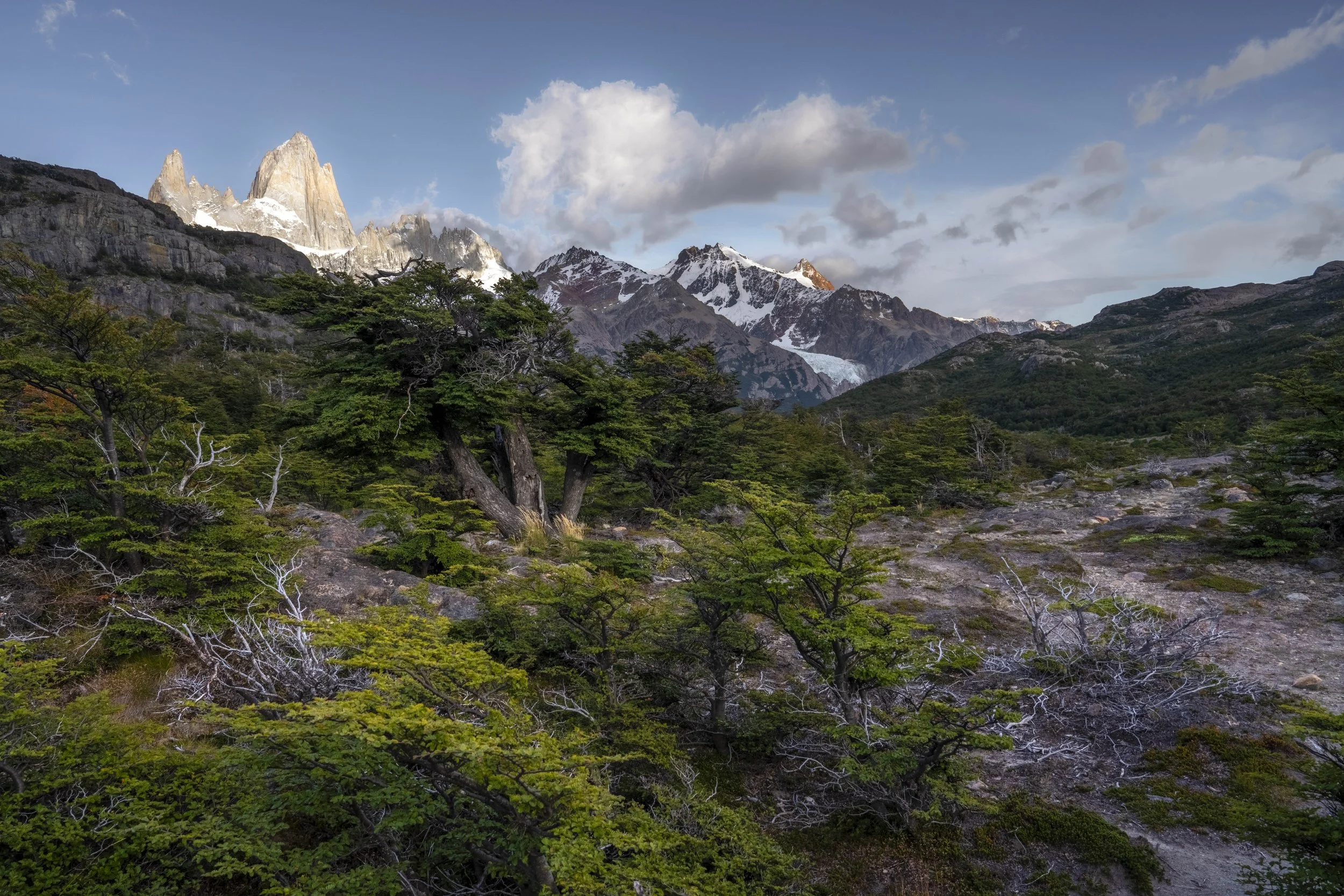 PATAGONIA-ElChalten-HIKE-Gallery-20260215-_DSC0396-HDR-2.jpg