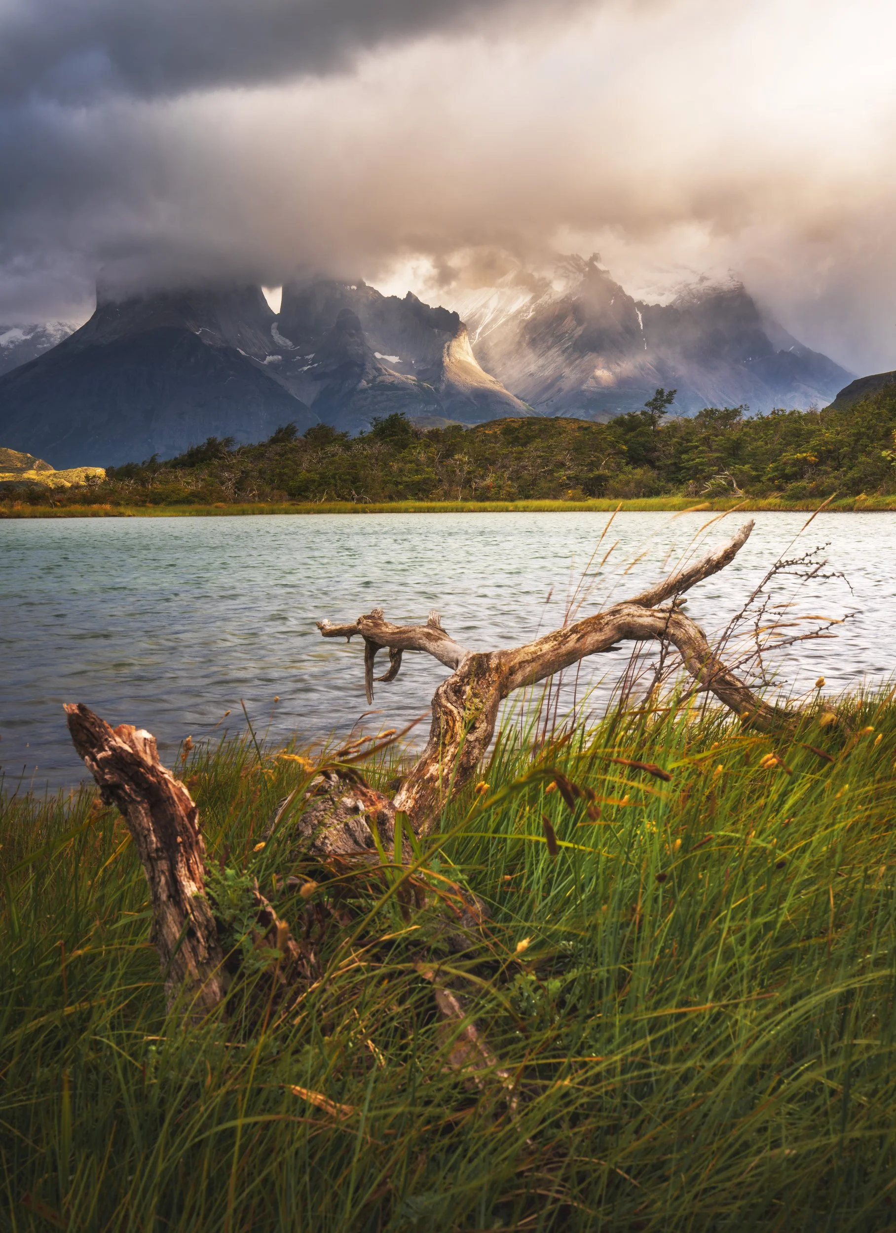 Patagonia-TorresDelPaine-Sunrise1-TreeFG-v1_result.jpg