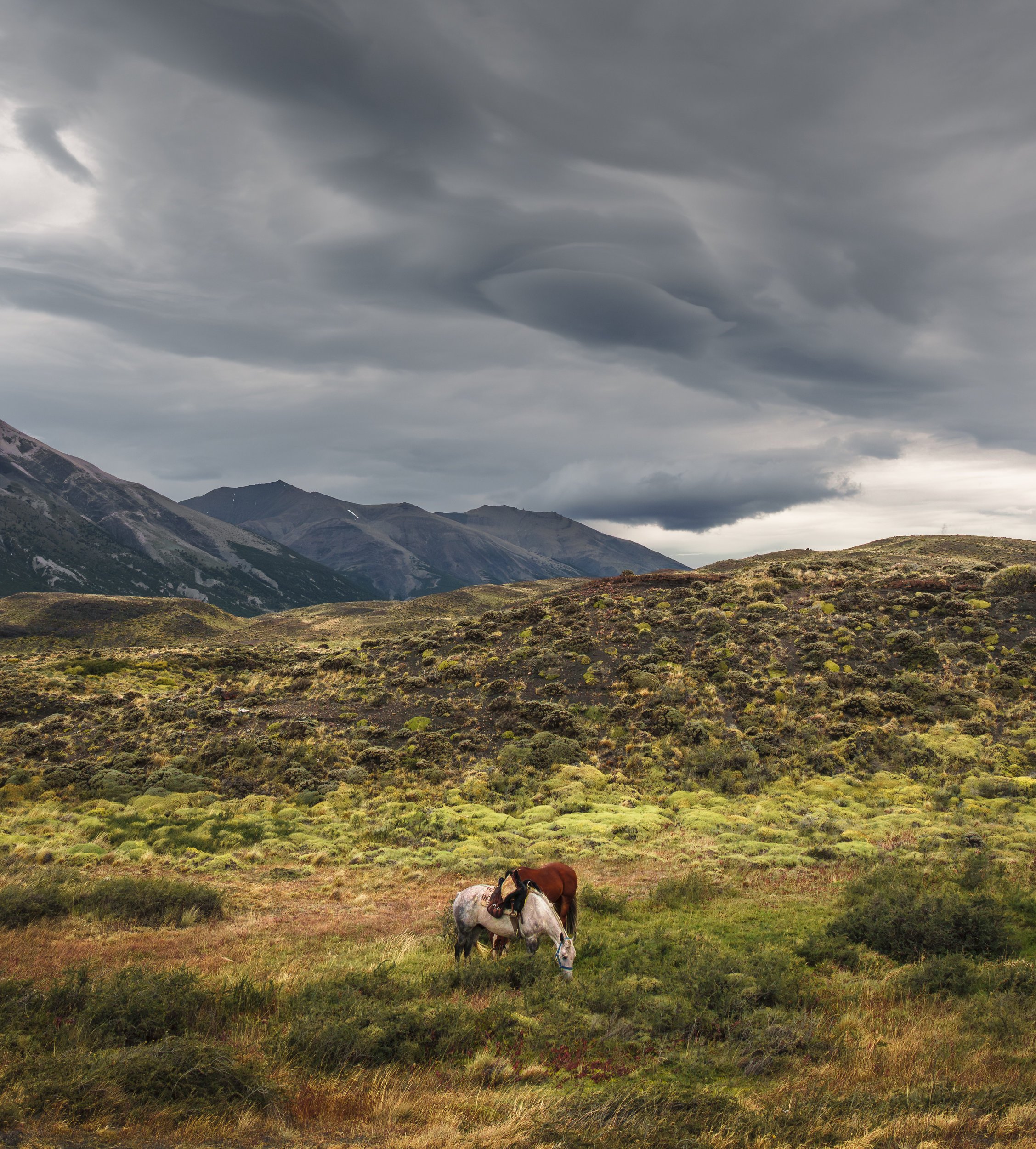 PATAGONIA-TorresDelPaine-Sunrise1-_DSC0997_result.jpg