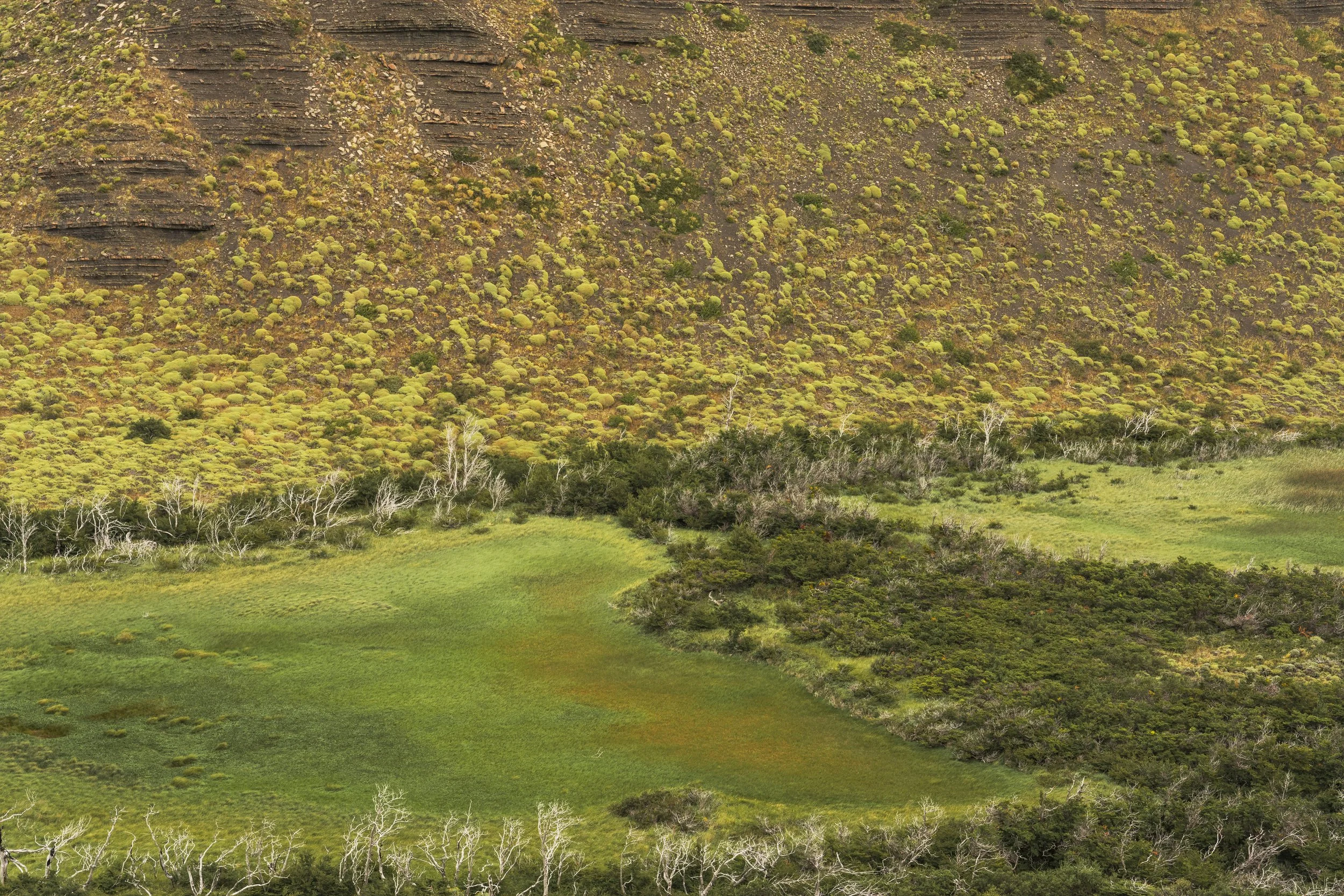 PATAGONIA-TorresDelPaine-Sunrise1-_DSC0932_result.jpg