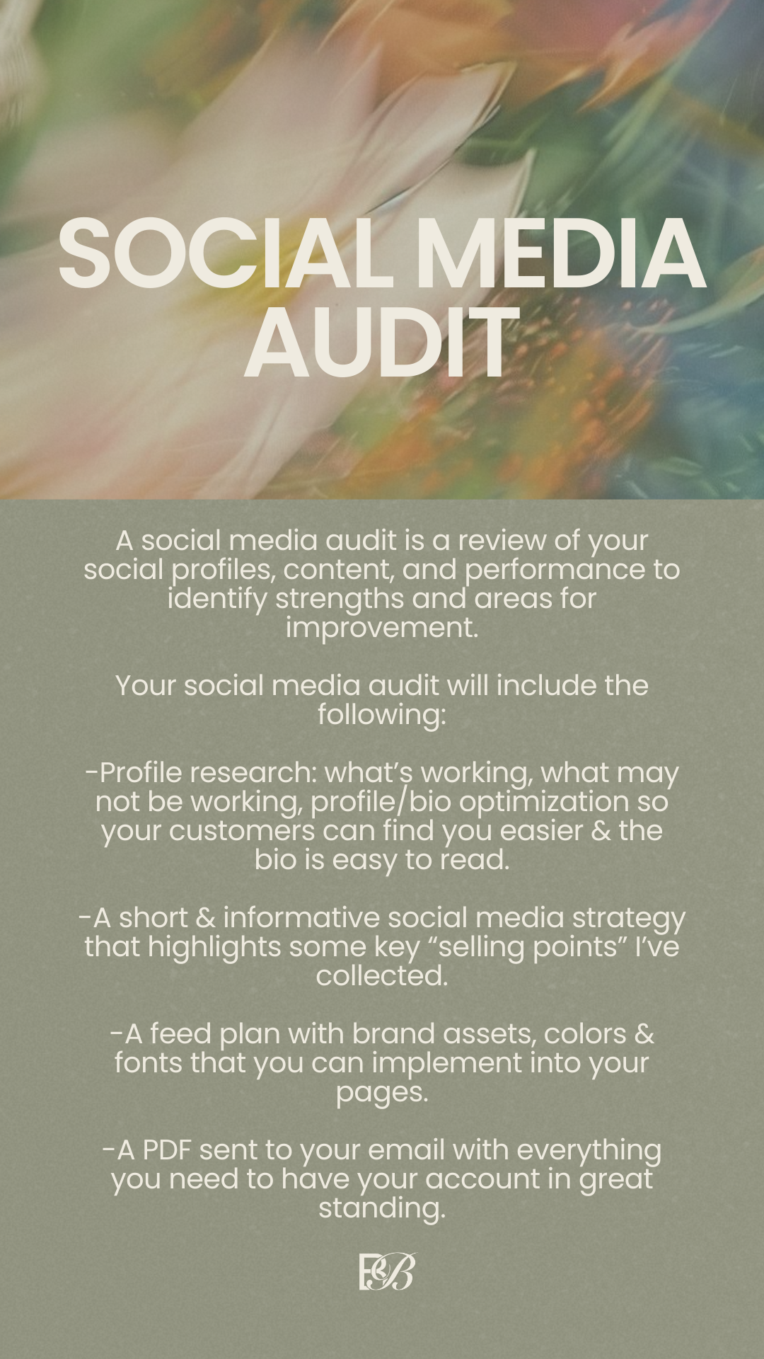 Social Media Audit