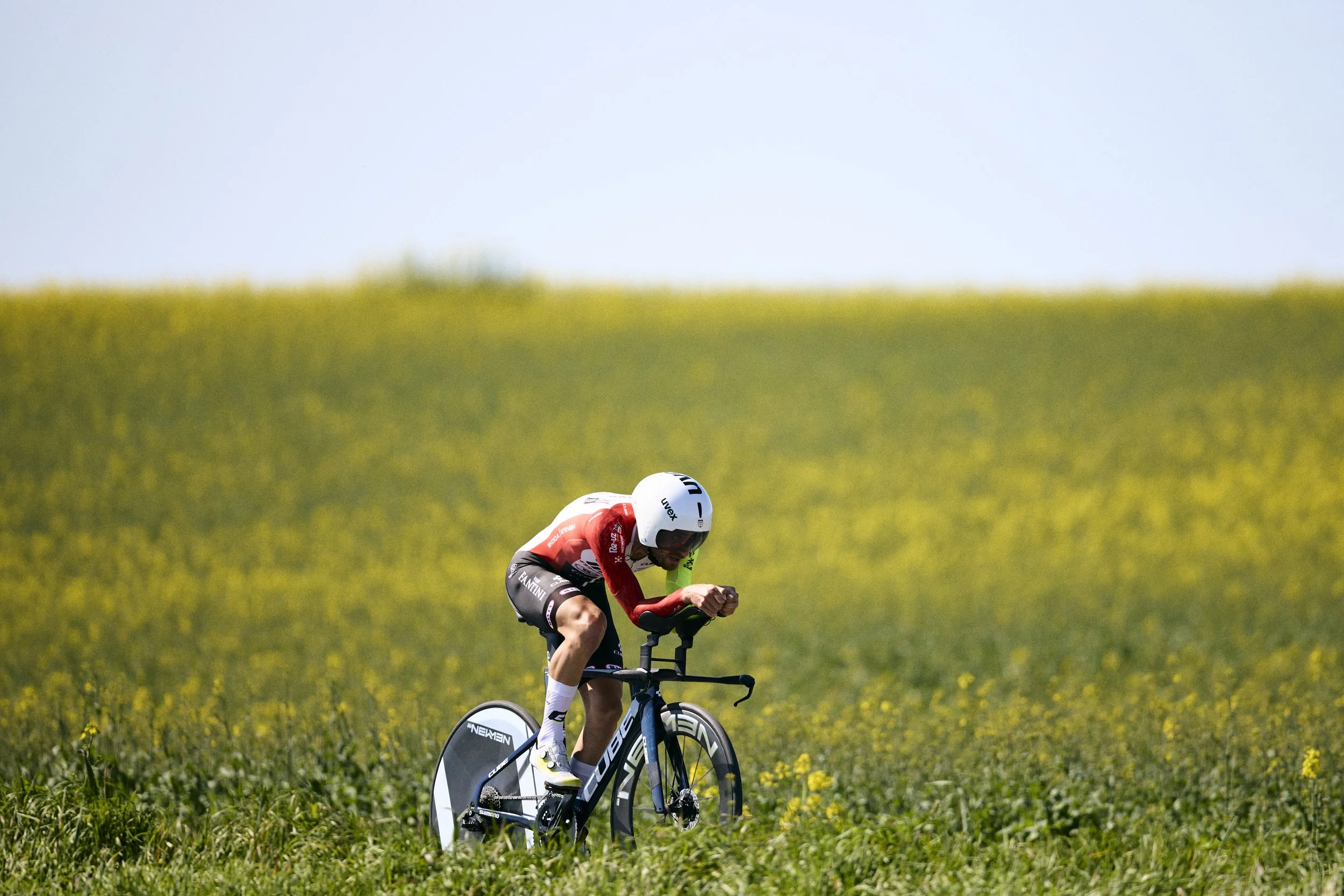 Un ciclista en posición de esfuerzo en un campo de flores amarillas con un cielo despejado.