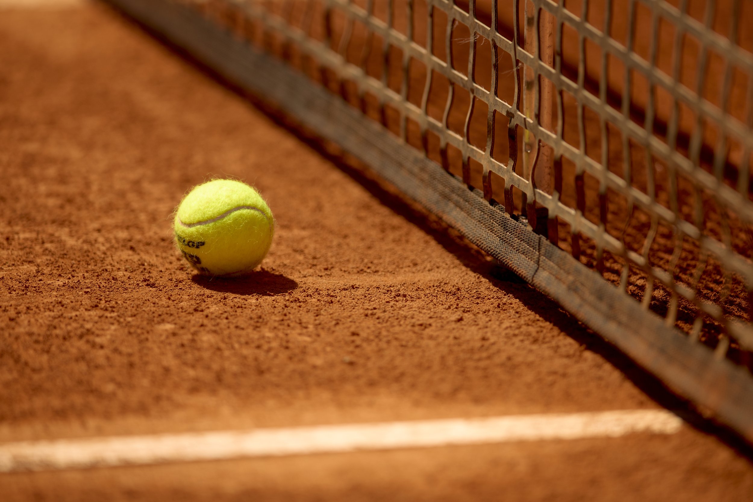 Pelota de tenis sobre la cancha de arcilla junto a la red de tenis.