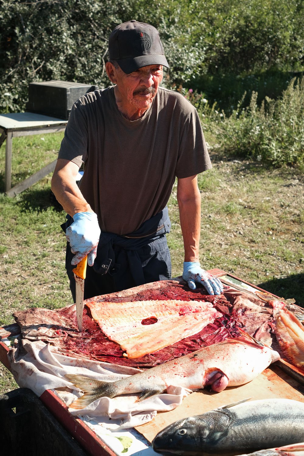 FISHES Fieldwork Aug22-13.jpg