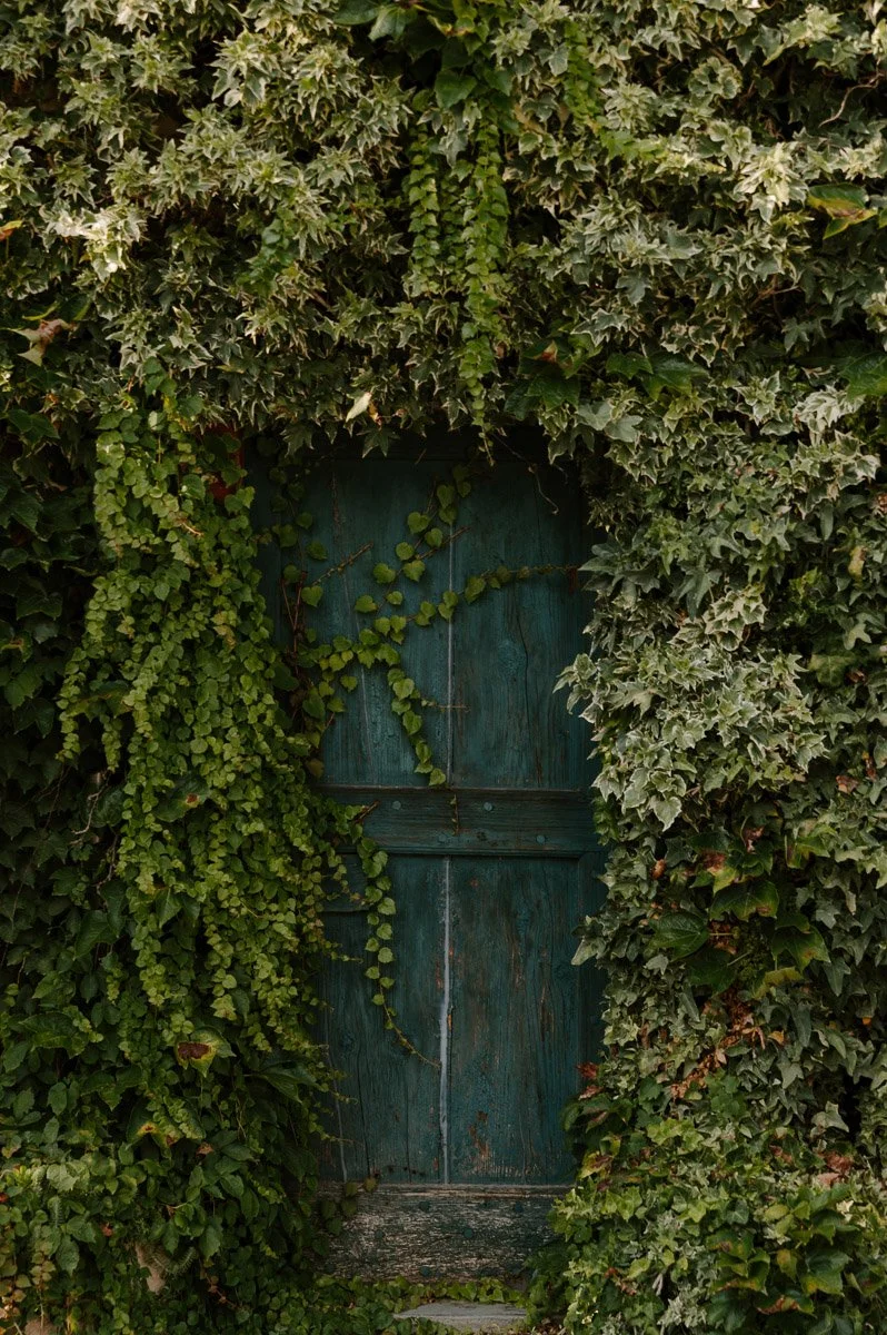 DSC_5051.jpg