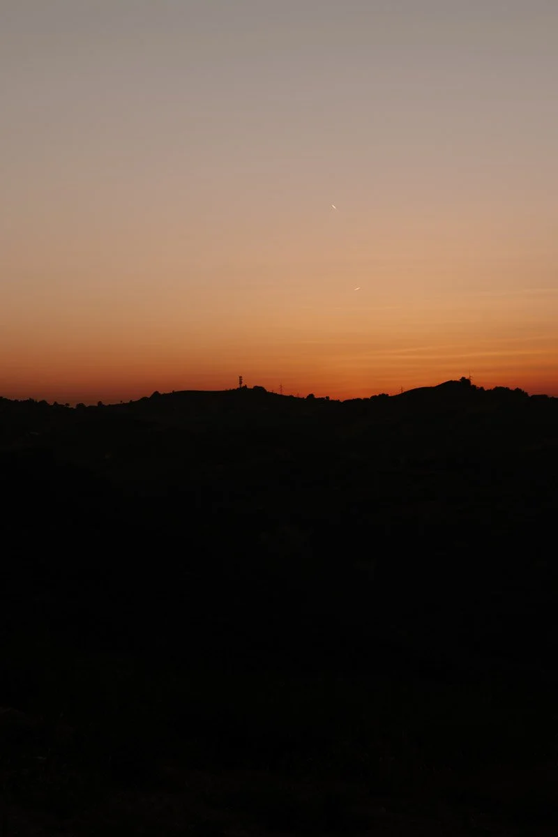 DSC_8114.jpg