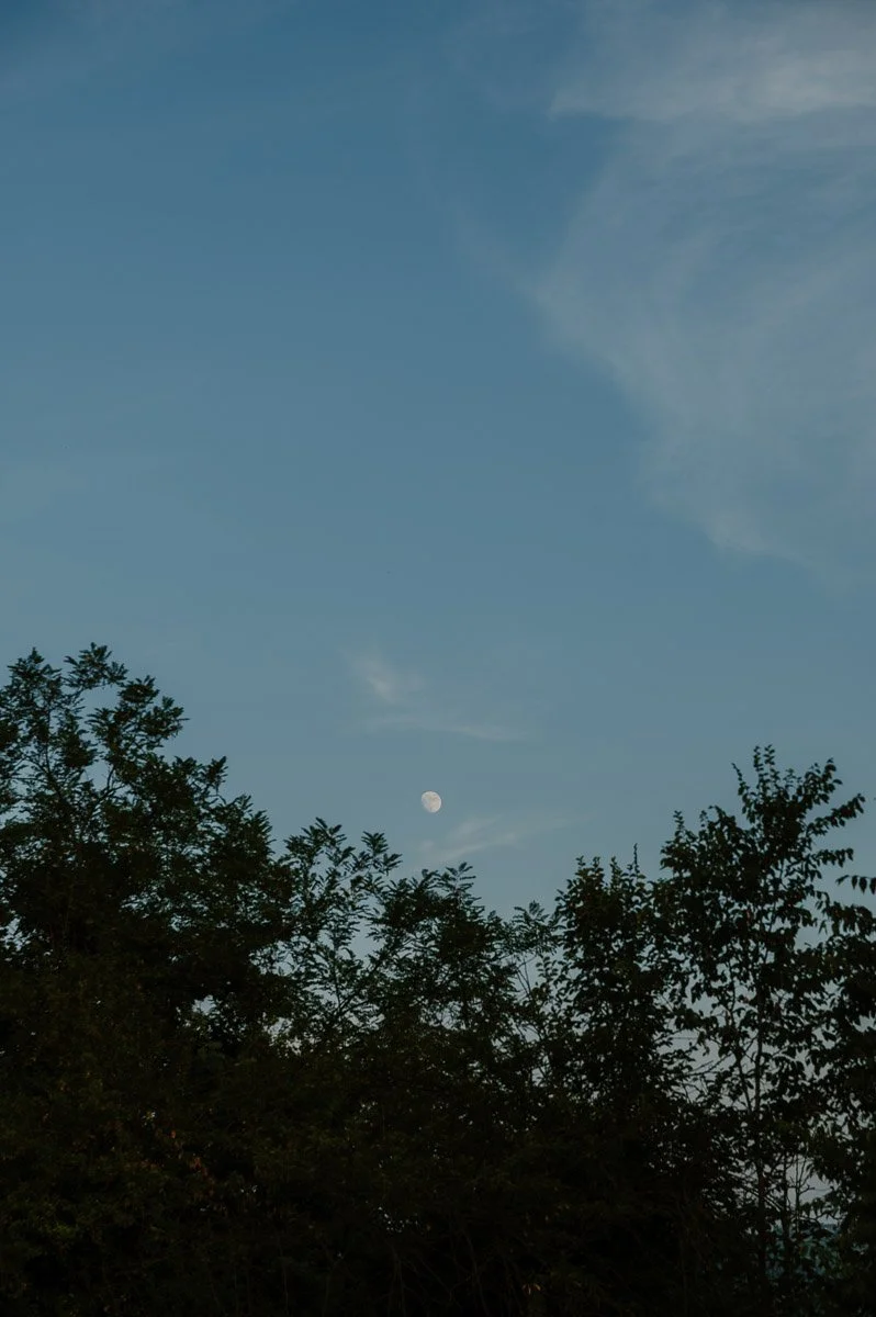 DSC_3641.jpg
