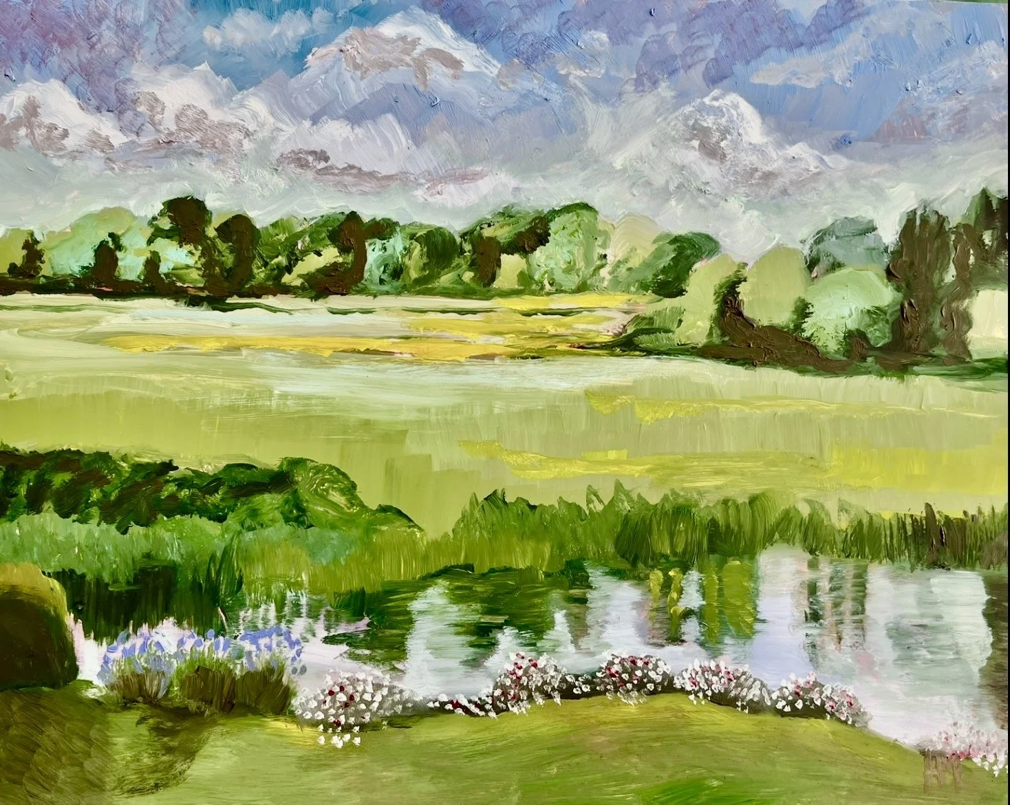 Buttercups at Deans Court