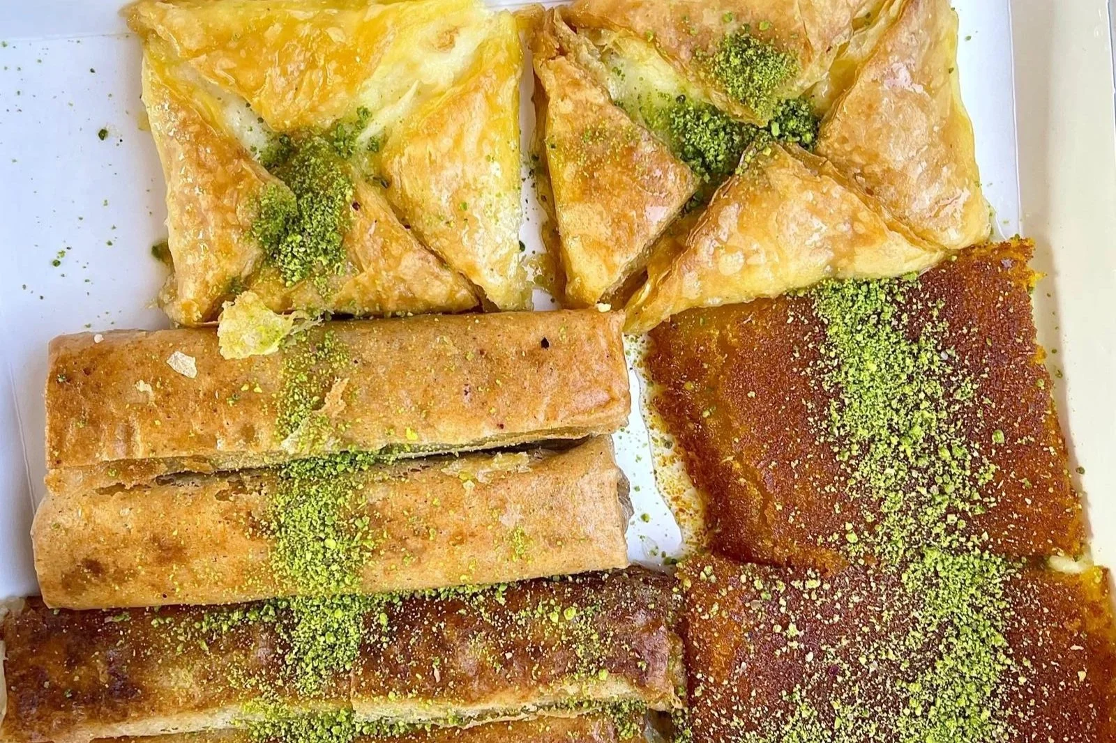 WhatsApp Image 2025-09-02 at 10.11.24 PM.jpg