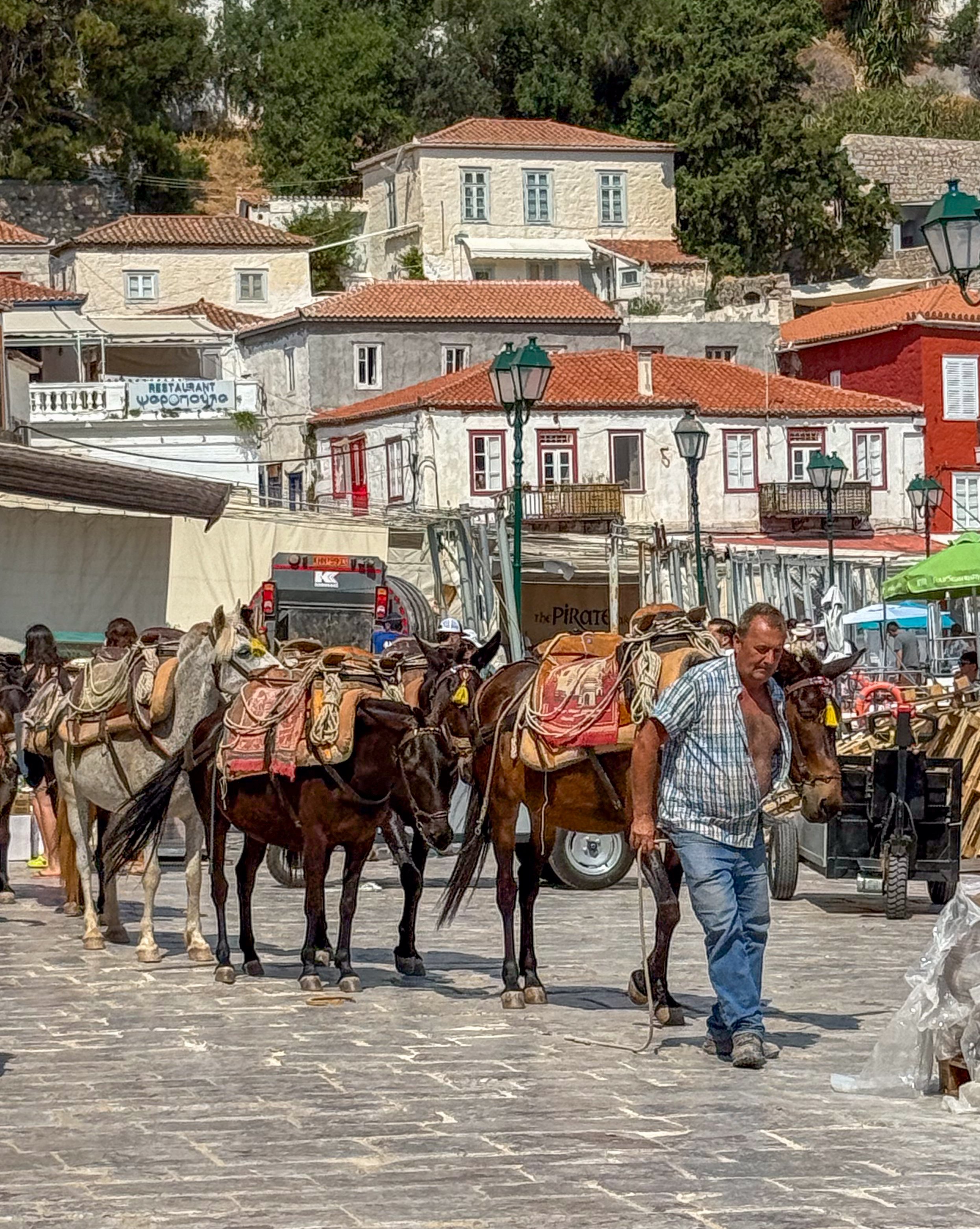 250613 Visting Hydra from Erminonis by Ferry -03 Donkeys.jpg