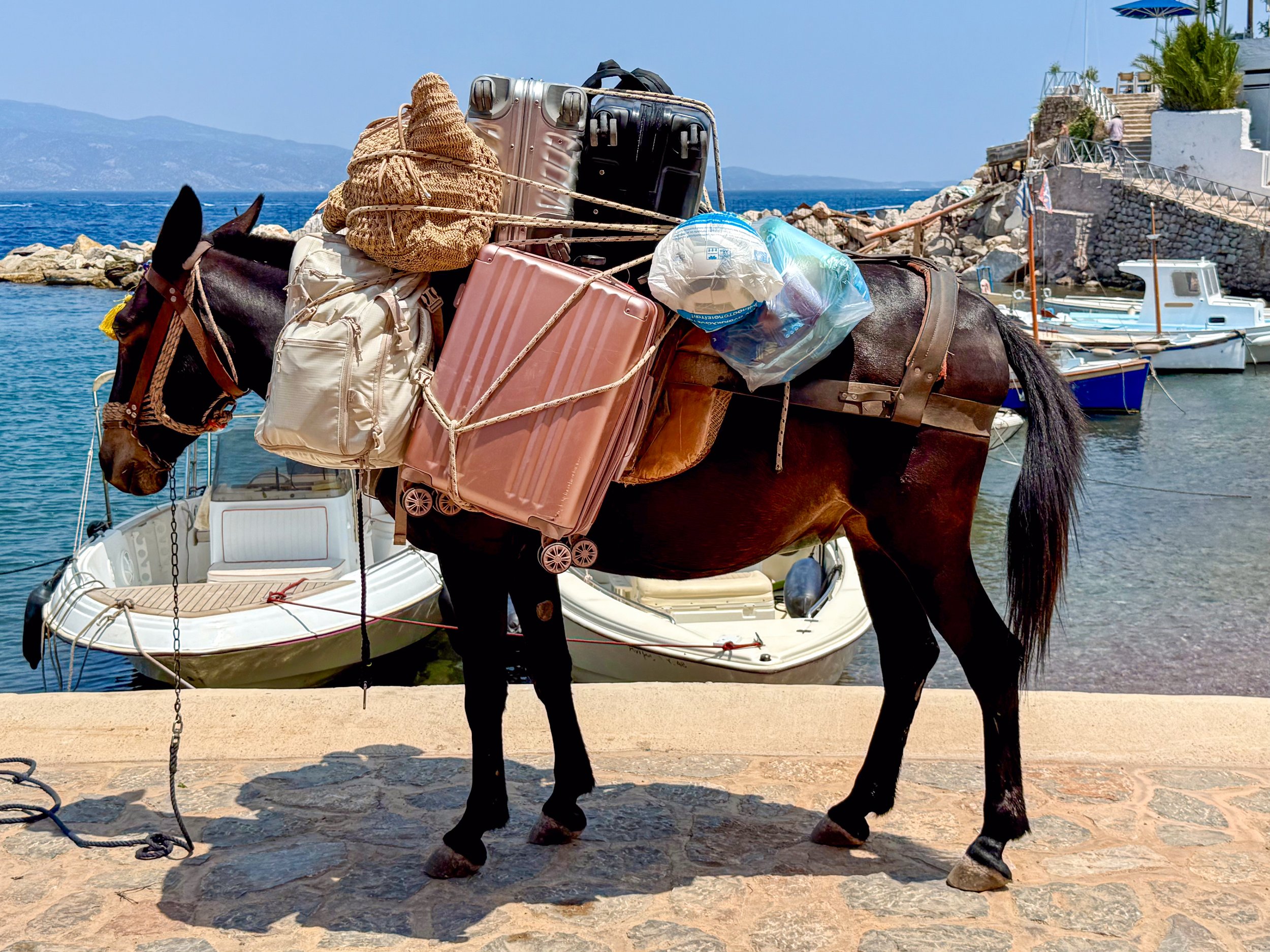 250613 Visting Hydra from Erminonis by Ferry -18 Donkey.jpg