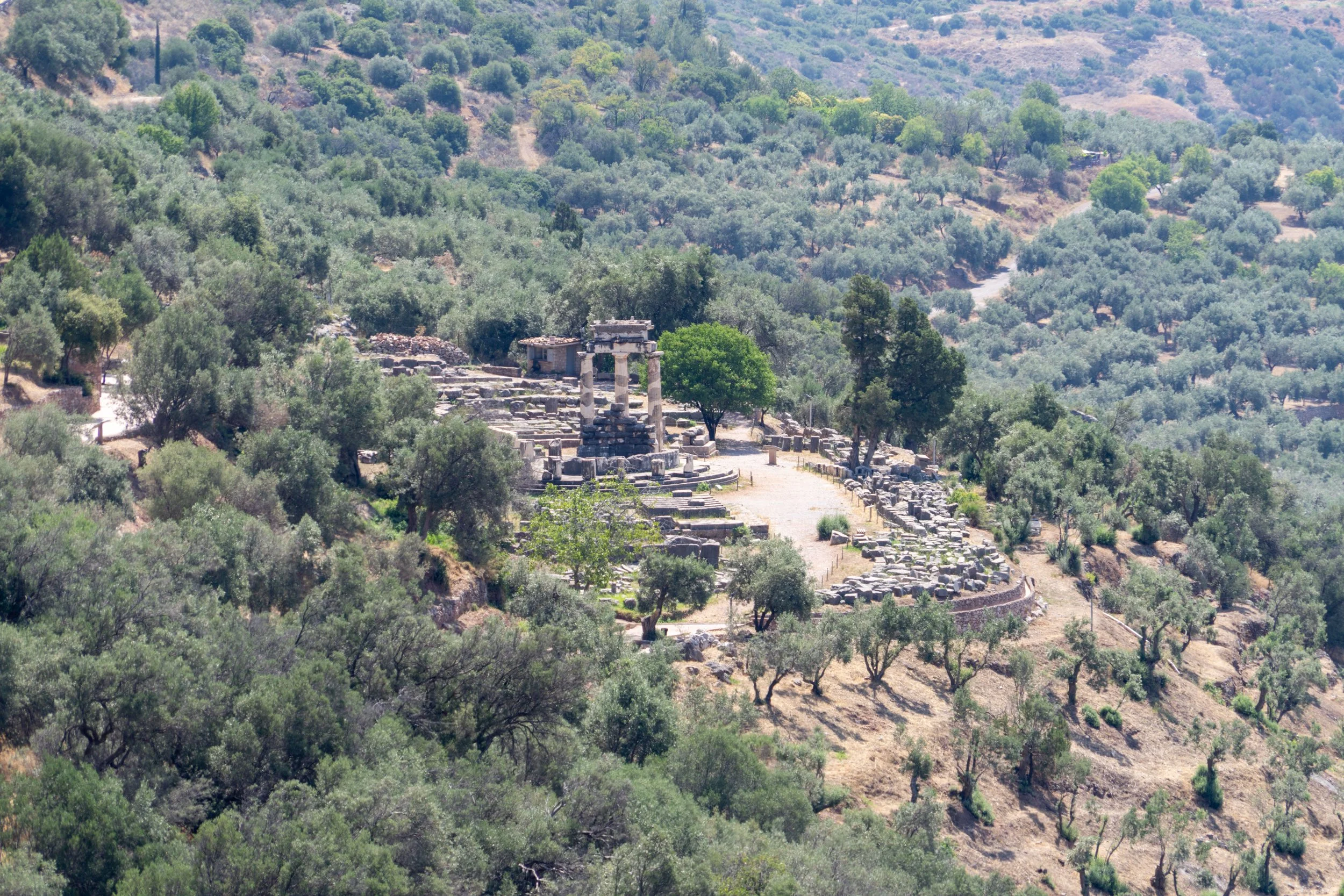 Delphi-01.jpg
