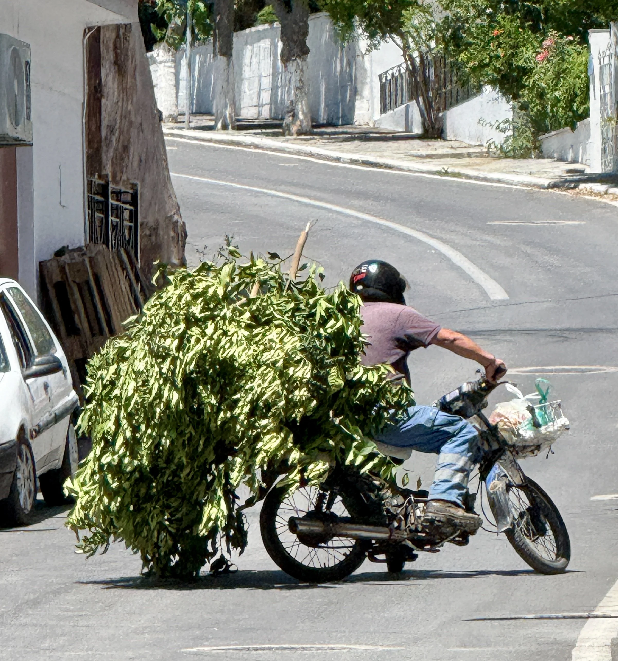 Fully Loaded 